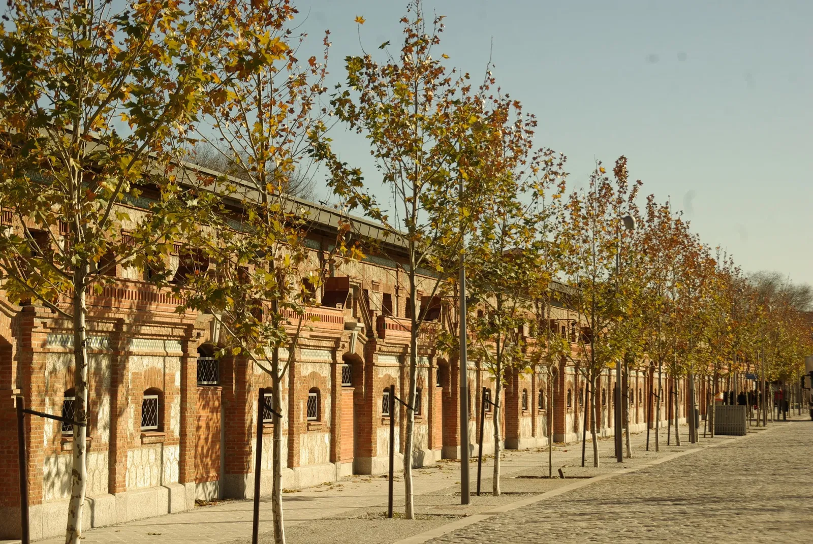 El Matadero y Mercado Municipal de Ganados