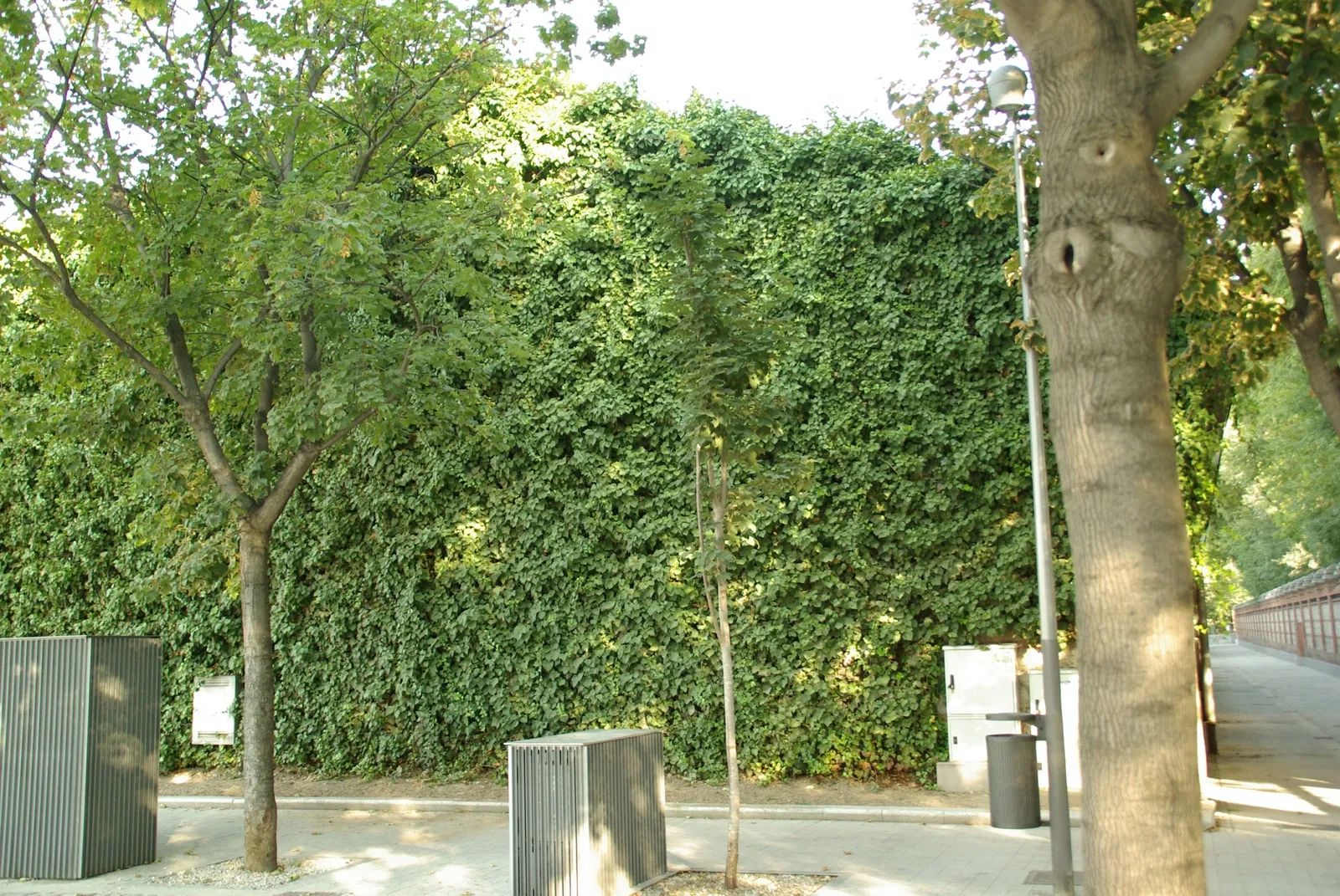 El Matadero y Mercado Municipal de Ganados