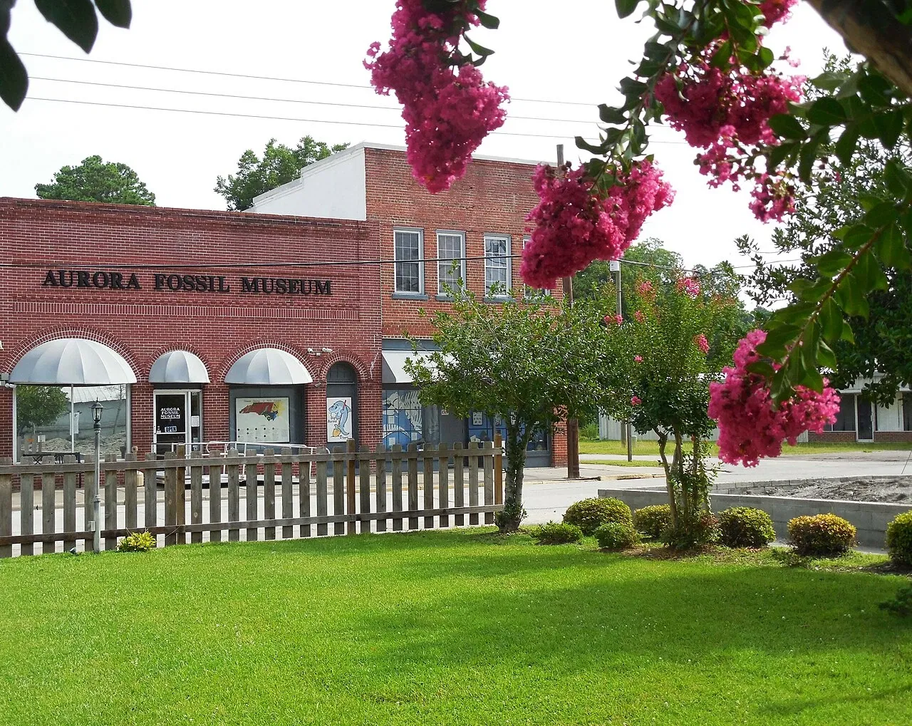 Aurora Fossil Museum