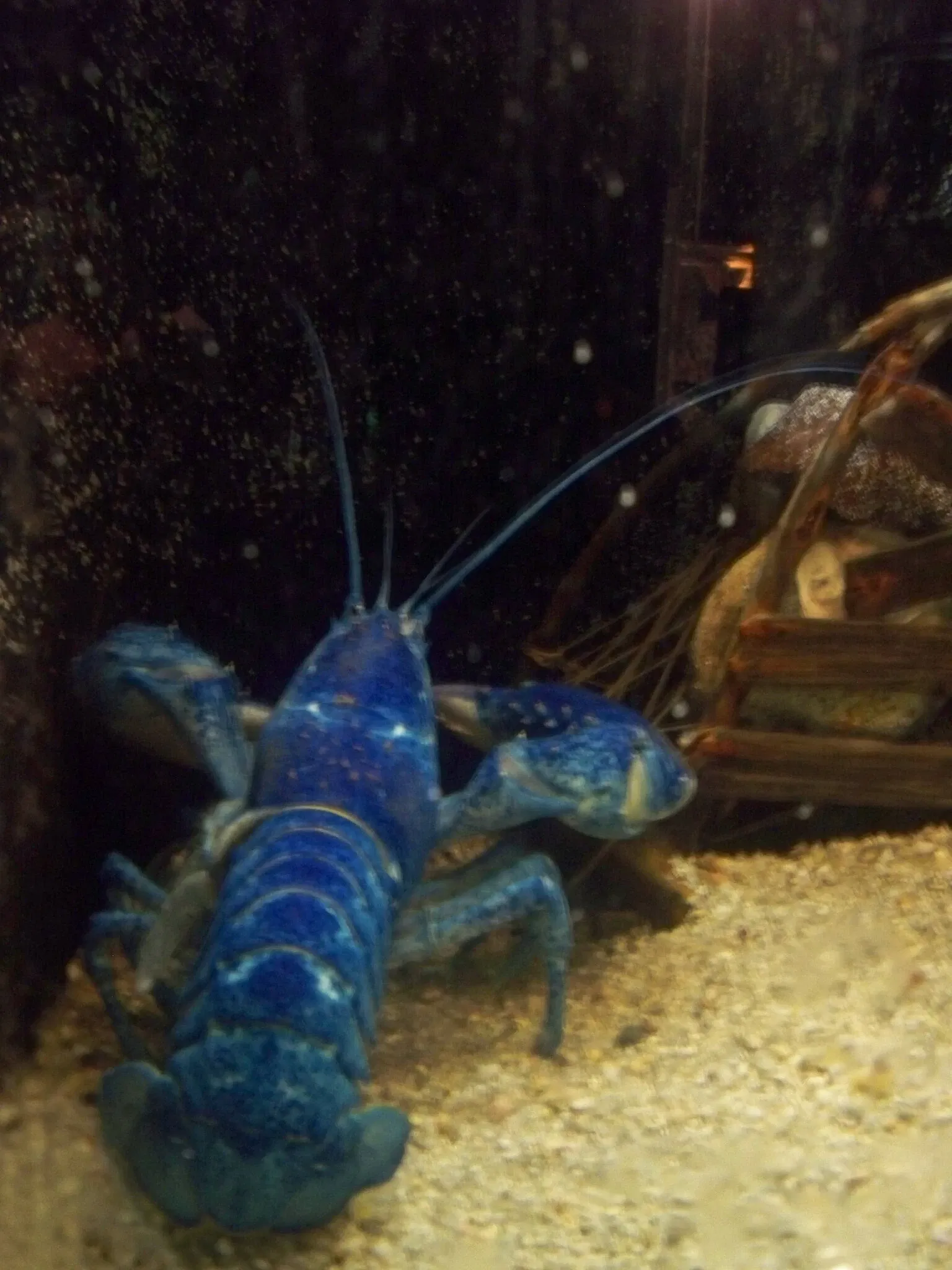 Woods Hole Science Aquarium