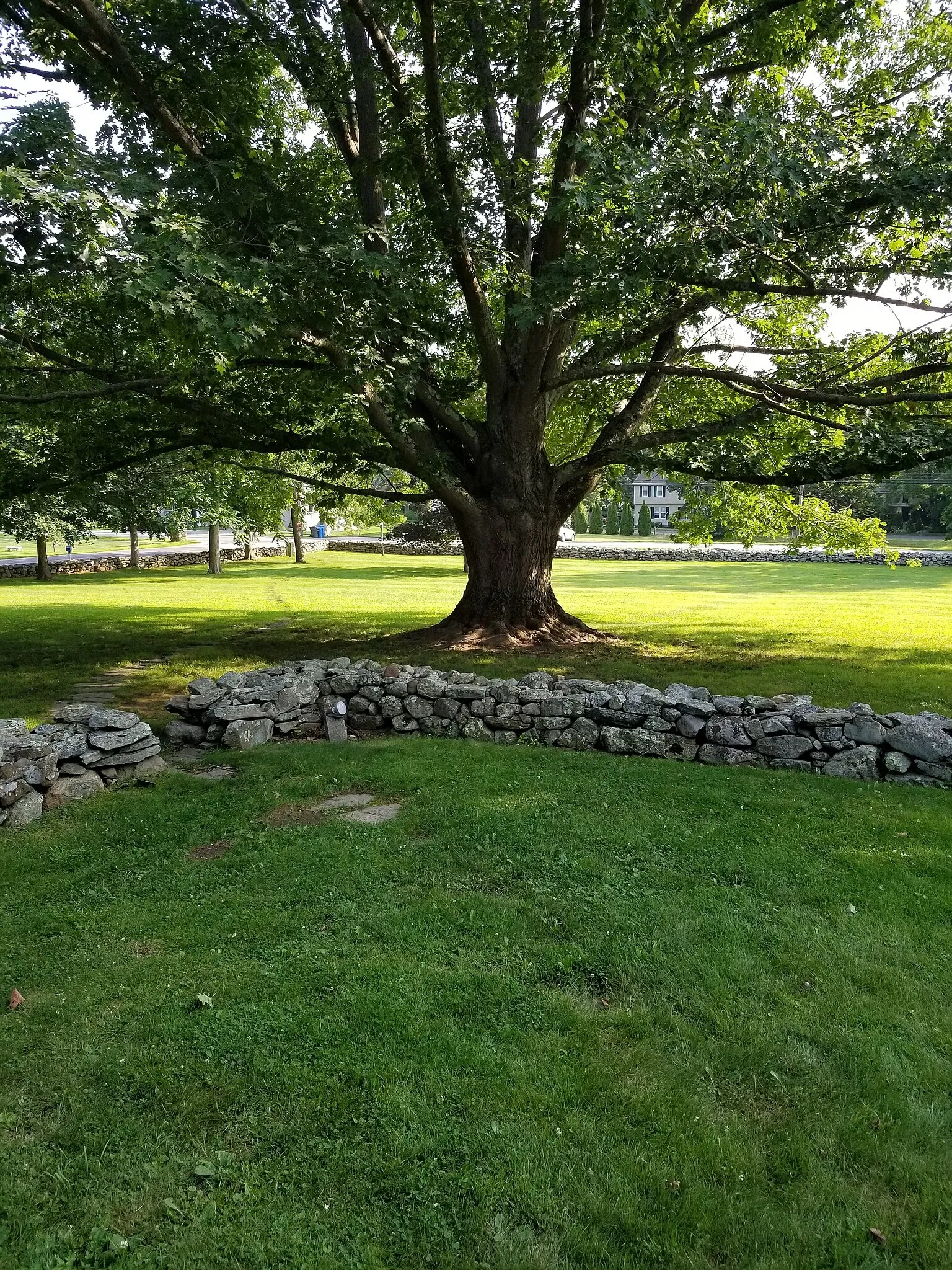 Henry Whitfield State Museum