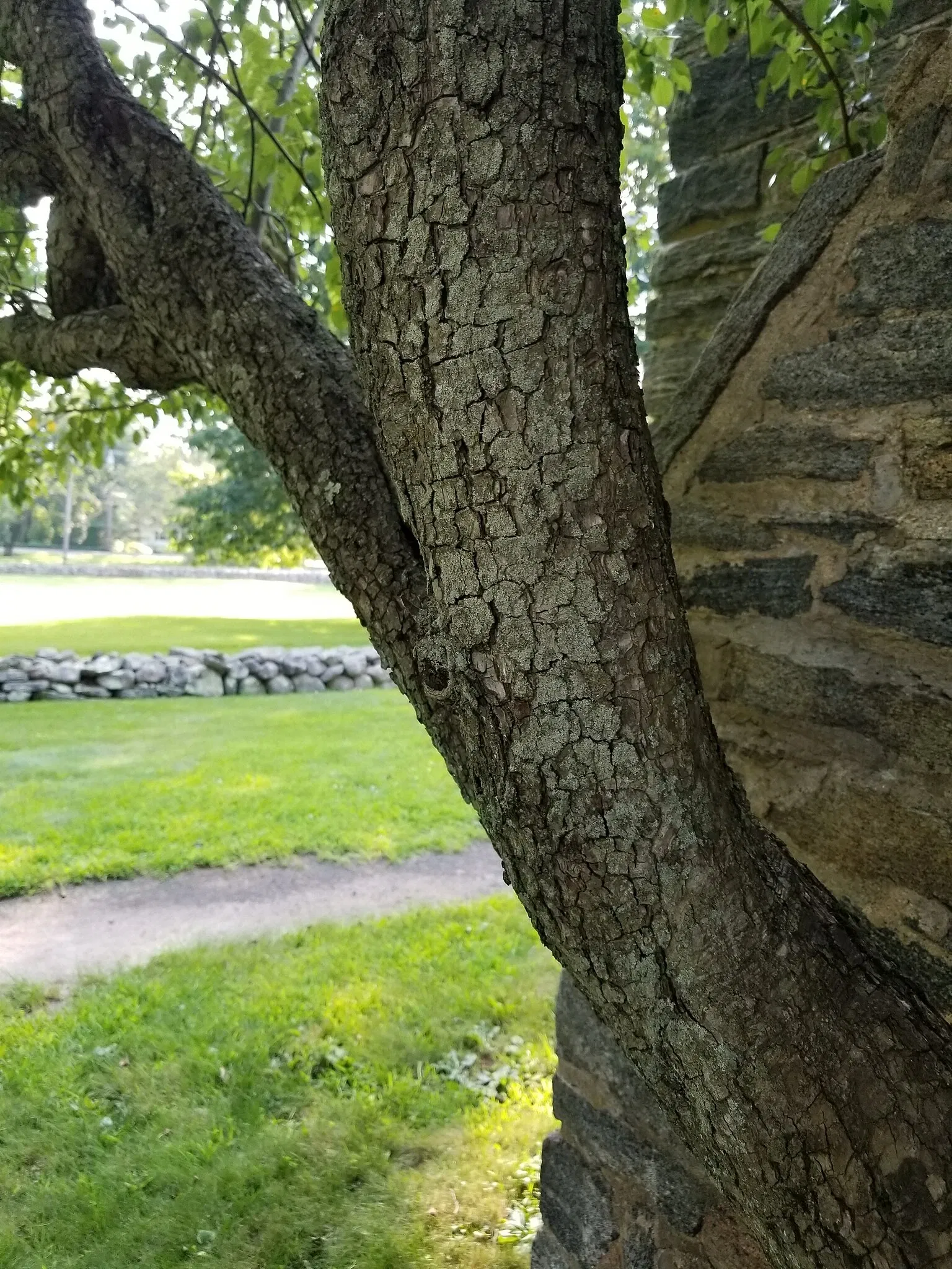 Henry Whitfield State Museum