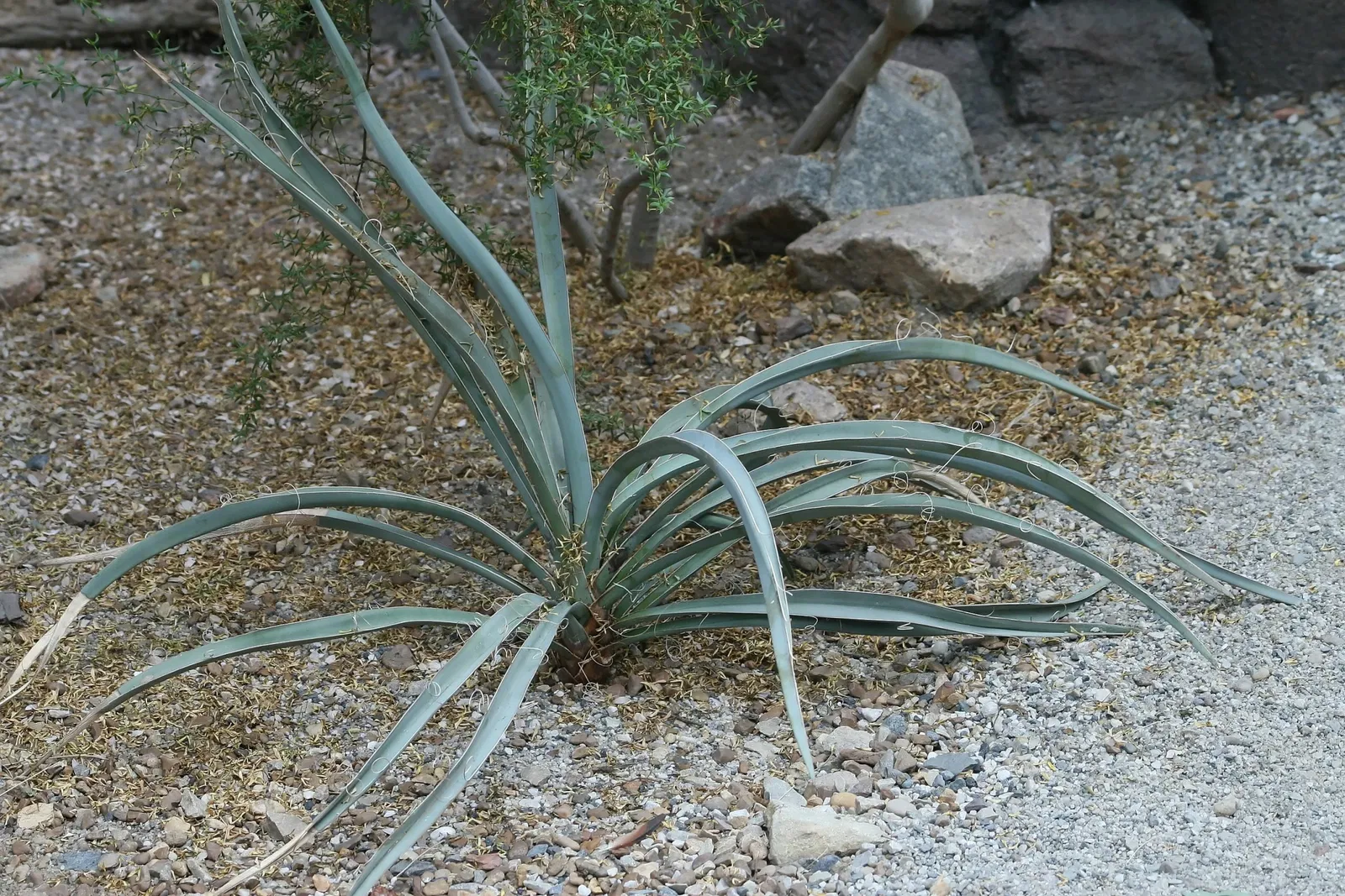 Zoo de Caroline du Nord