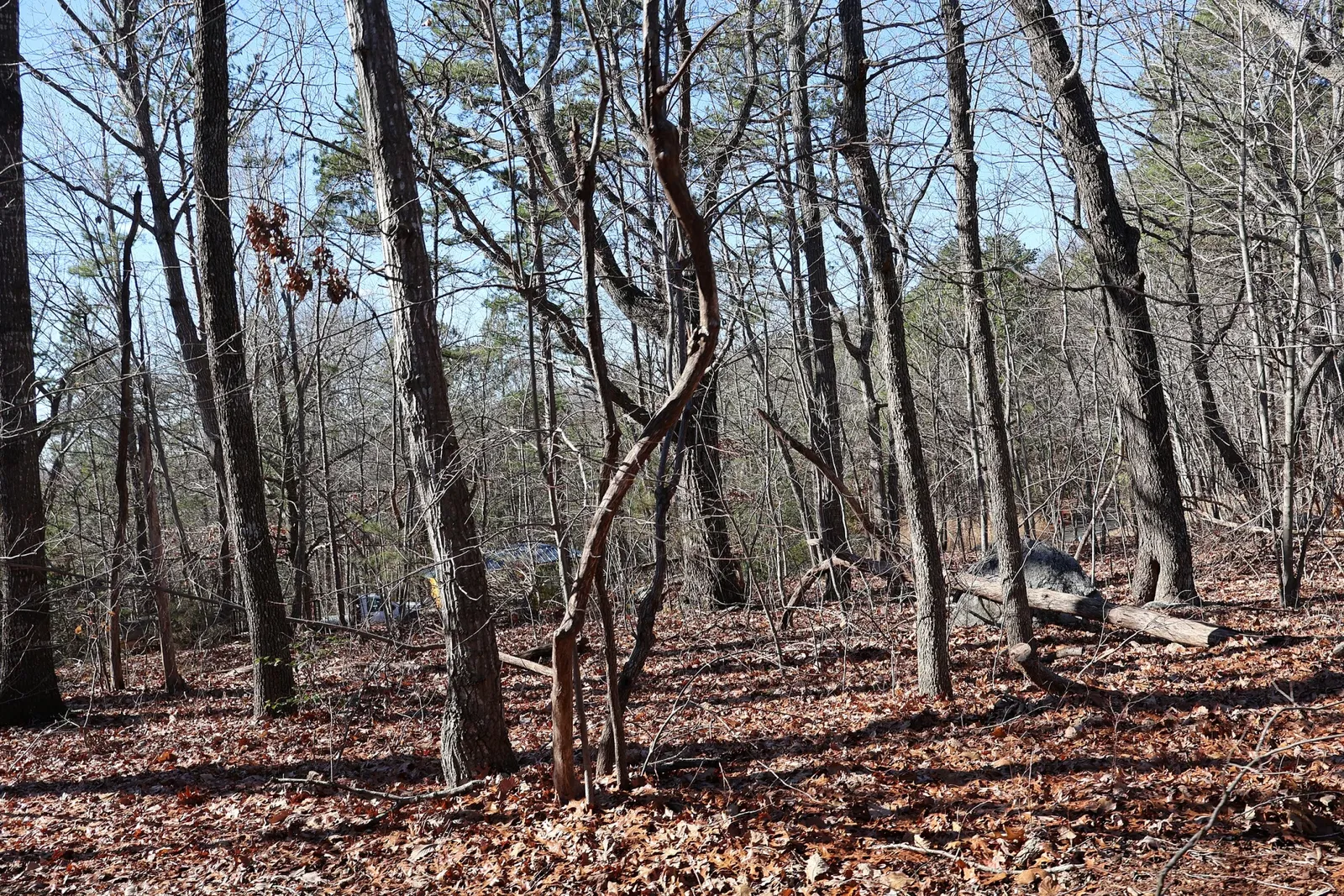 North Carolina Zoological Park