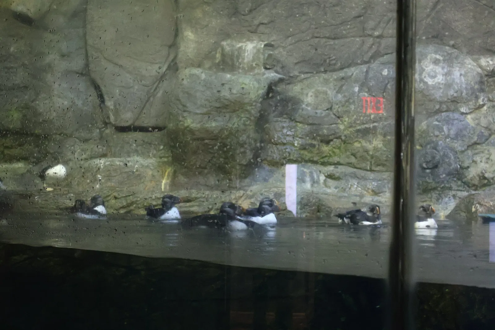 North Carolina Zoological Park