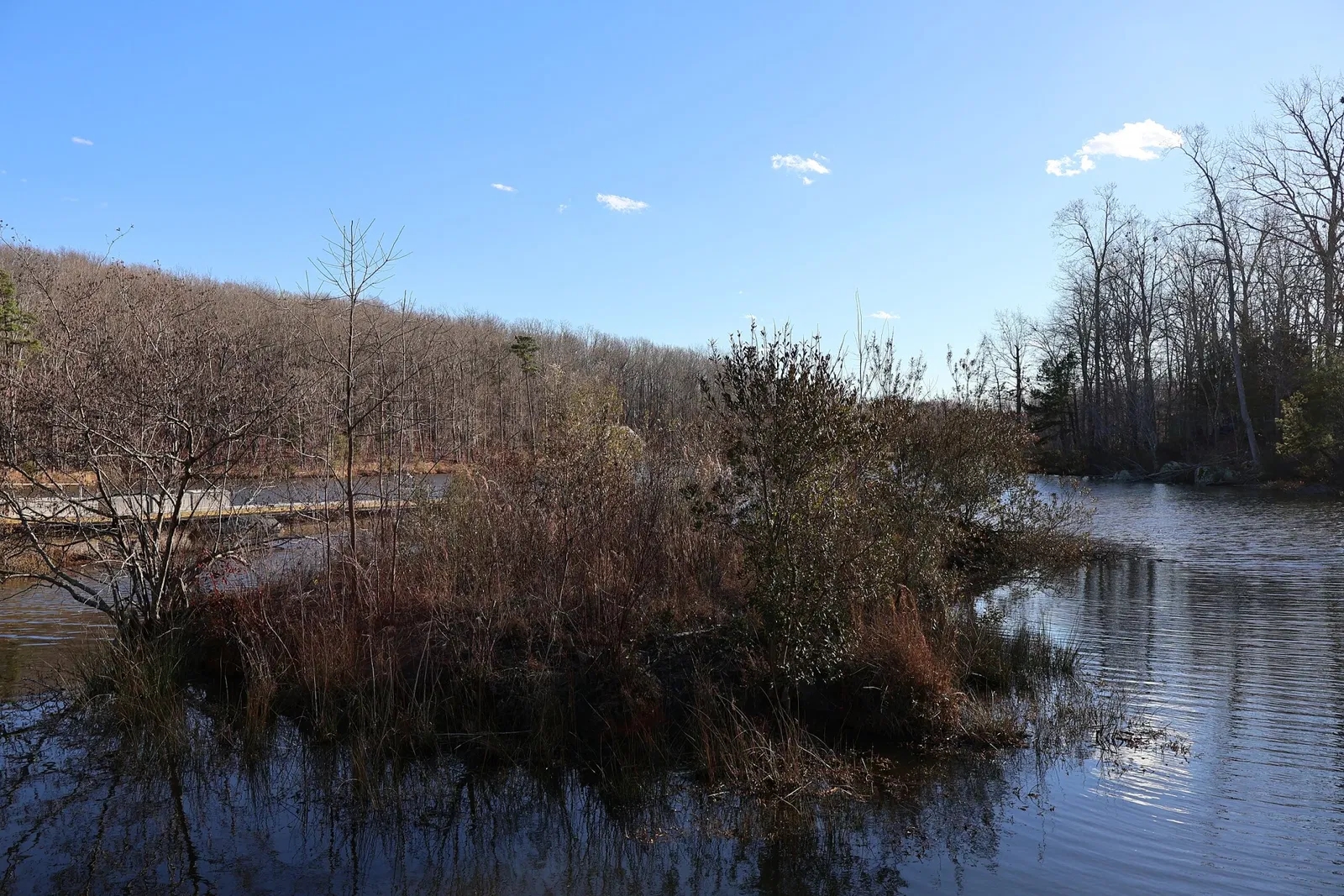 Zoo de Caroline du Nord