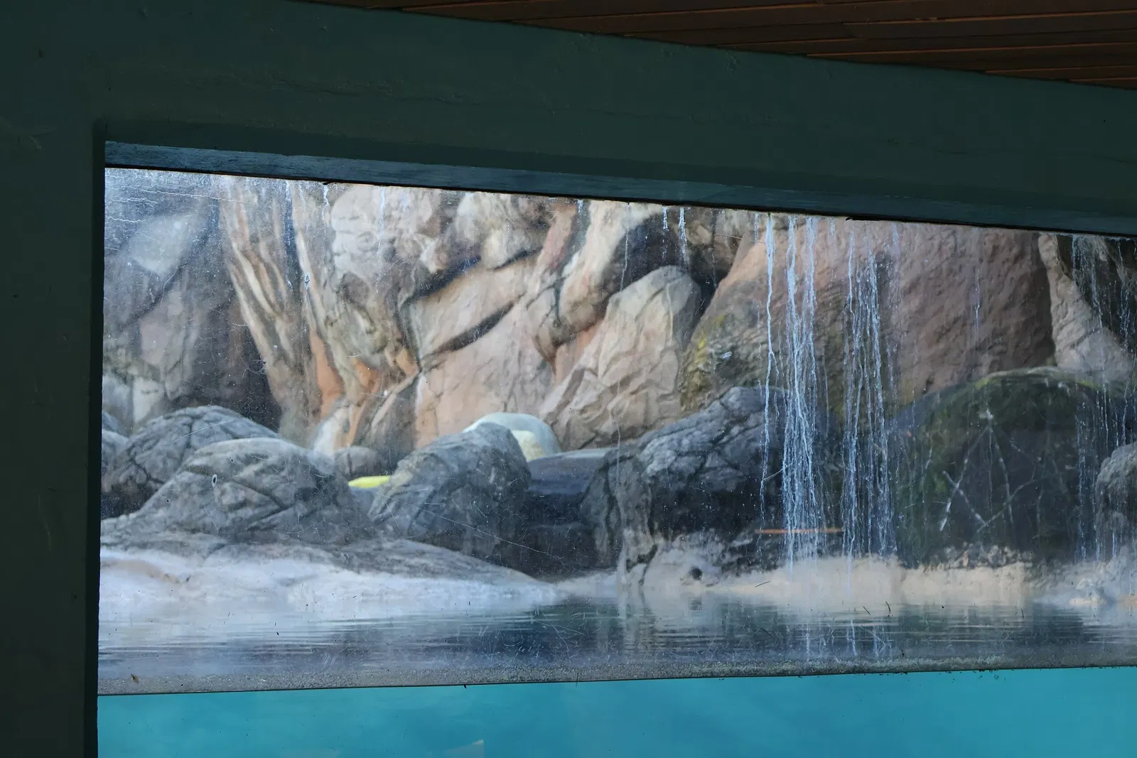 Zoológico de Carolina del Norte