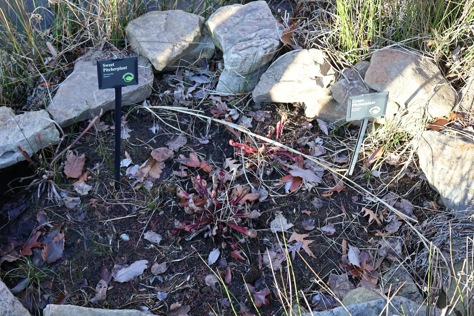 Zoológico de Carolina del Norte