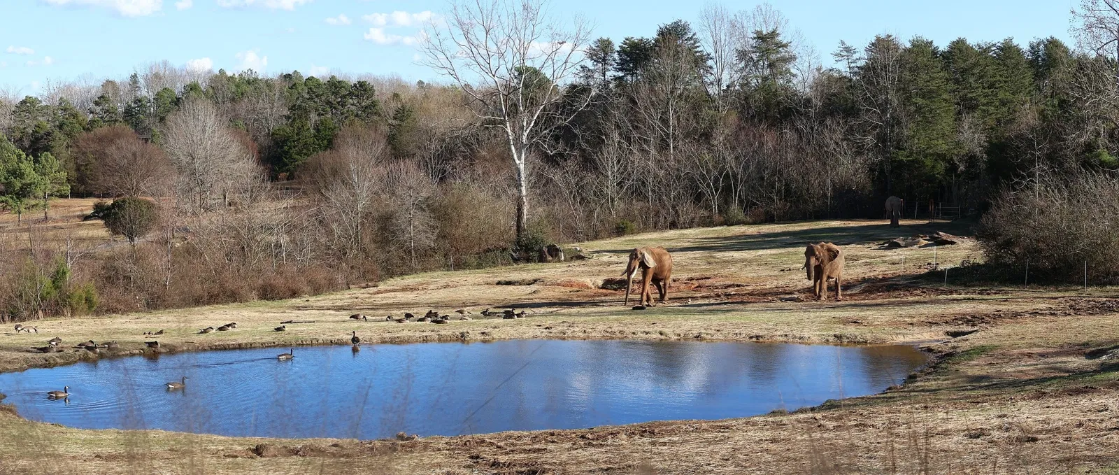 North Carolina Zoological Park