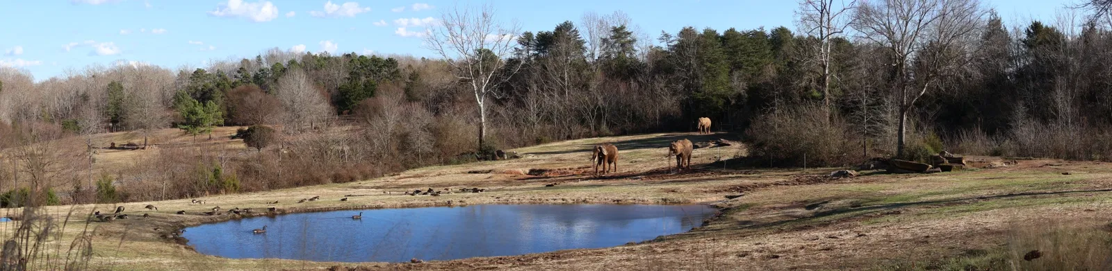 North Carolina Zoological Park