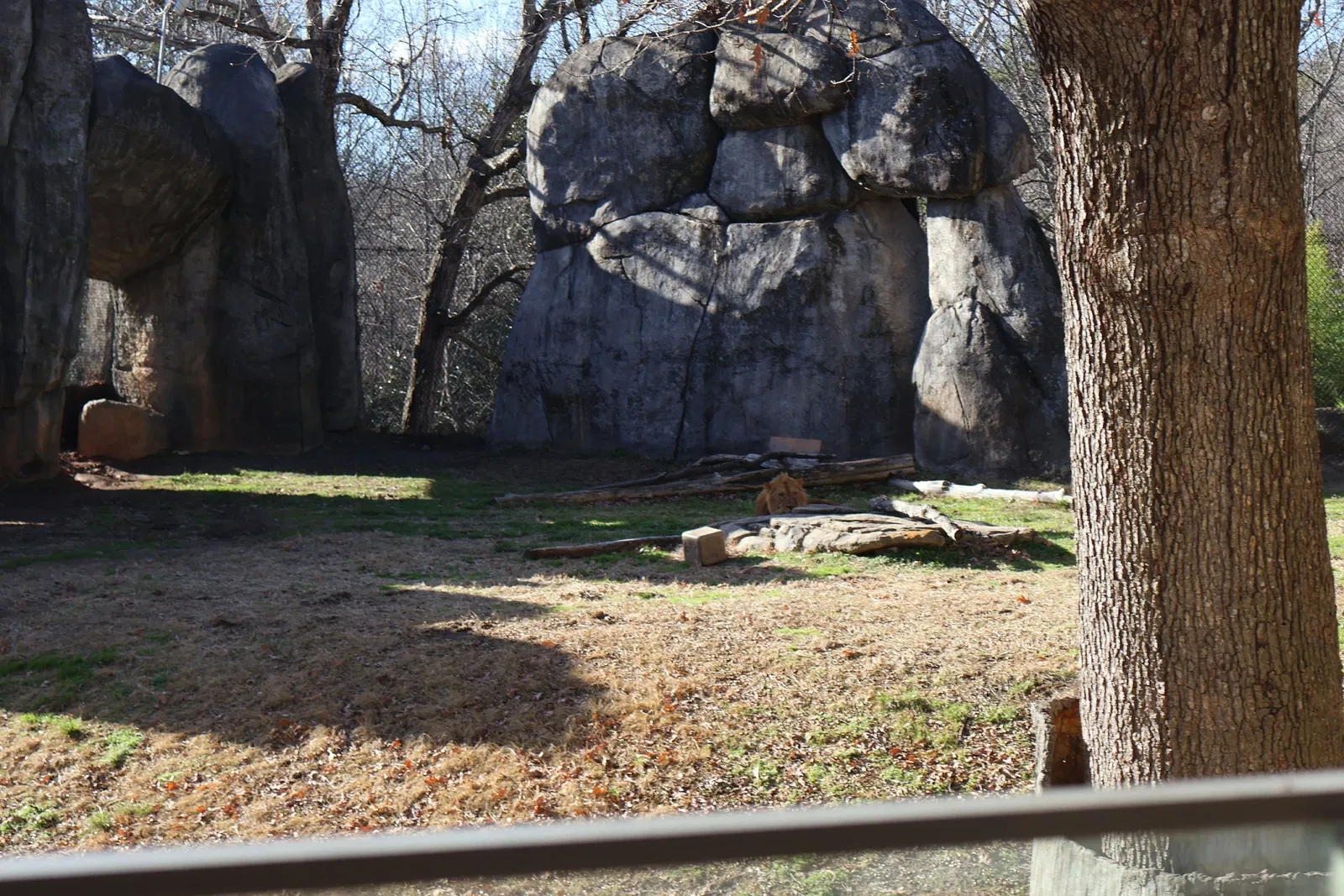 Zoo de Caroline du Nord