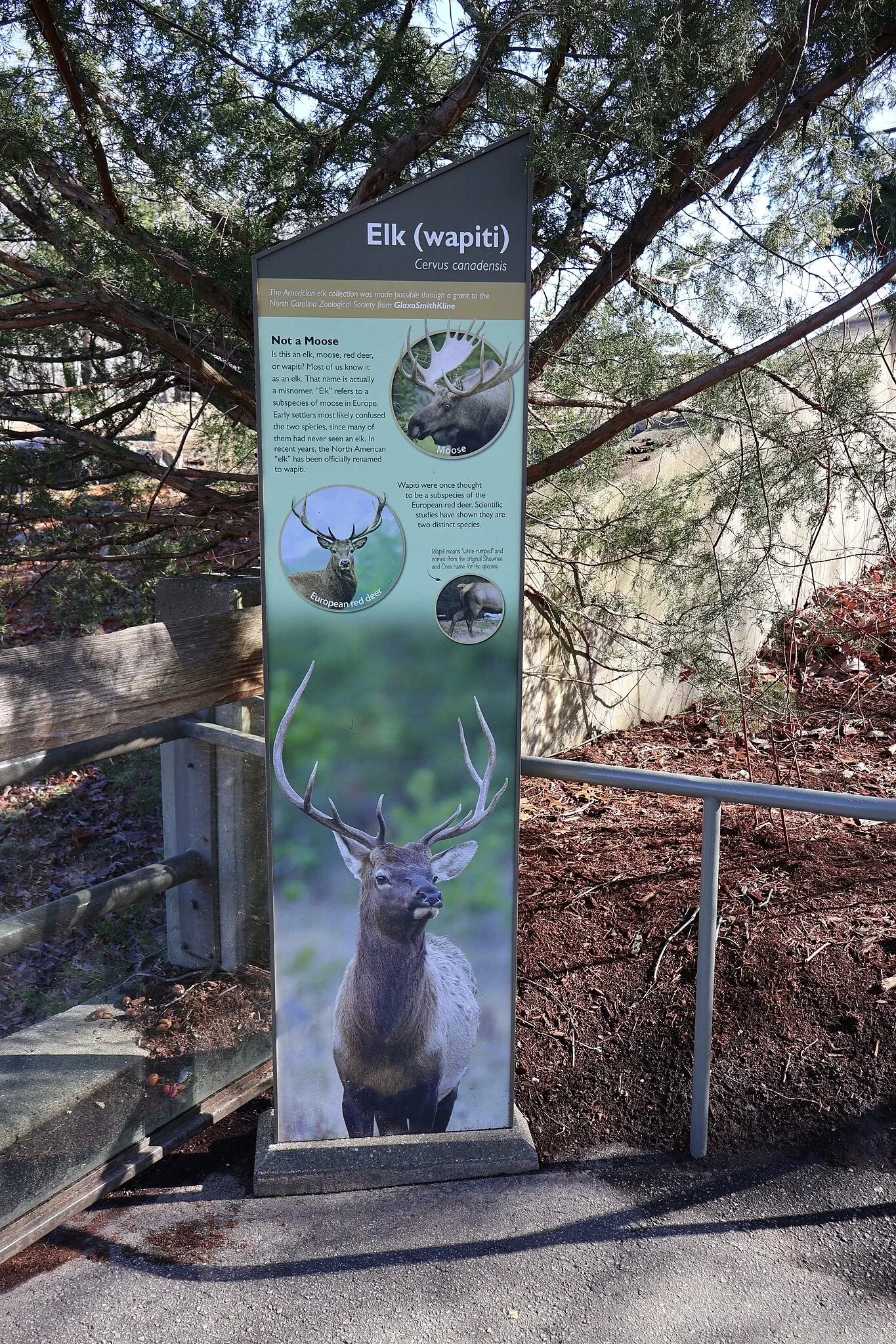 North Carolina Zoological Park