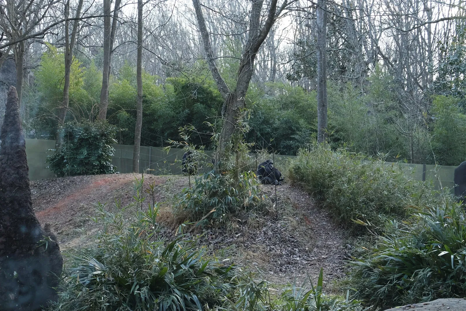 Zoo de Caroline du Nord