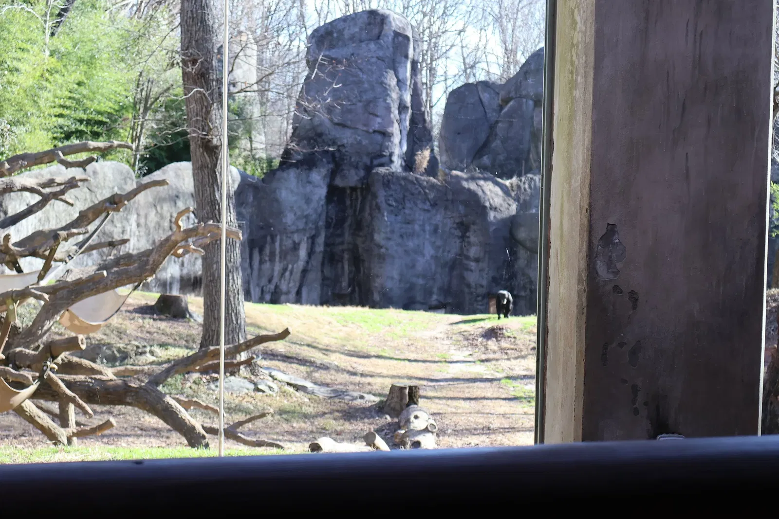 North Carolina Zoological Park