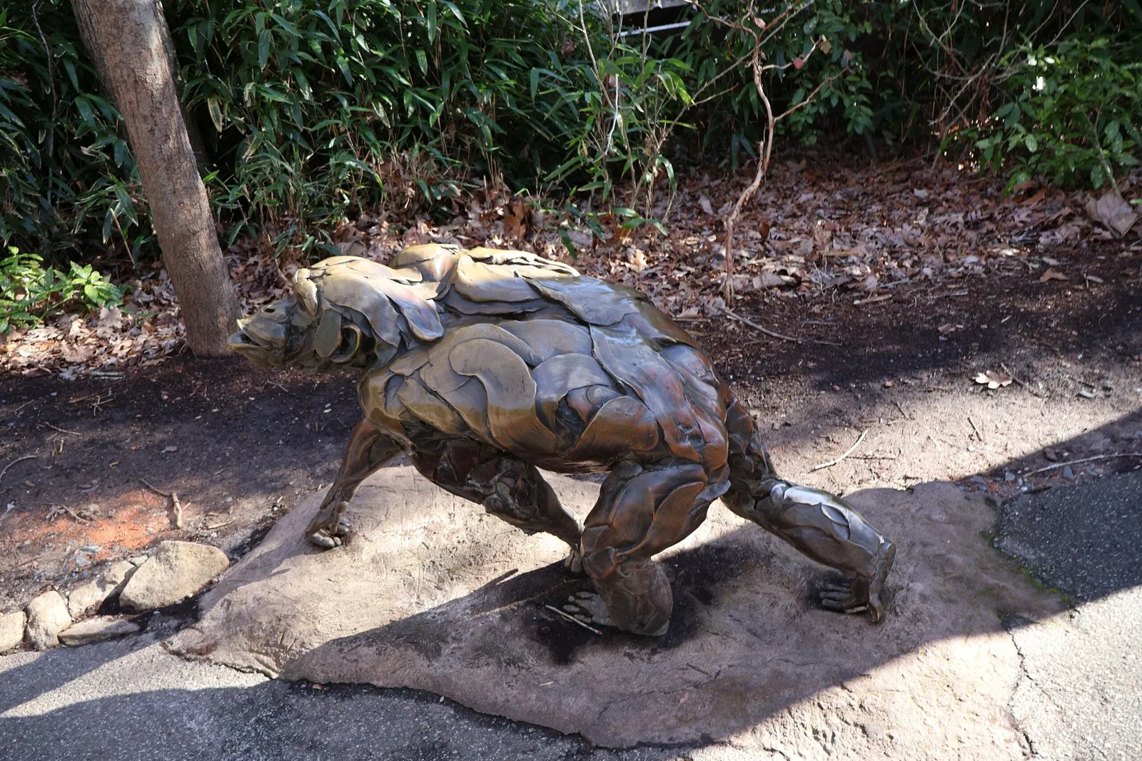 Zoológico de Carolina del Norte