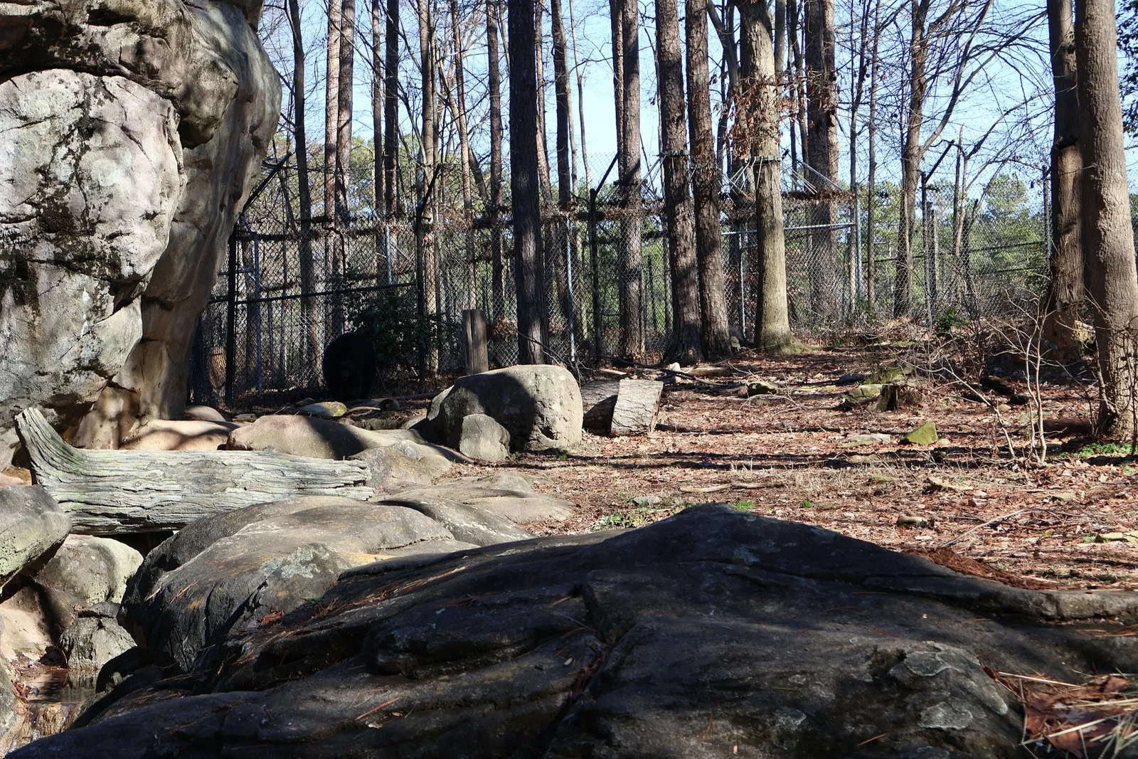 Zoológico de Carolina del Norte