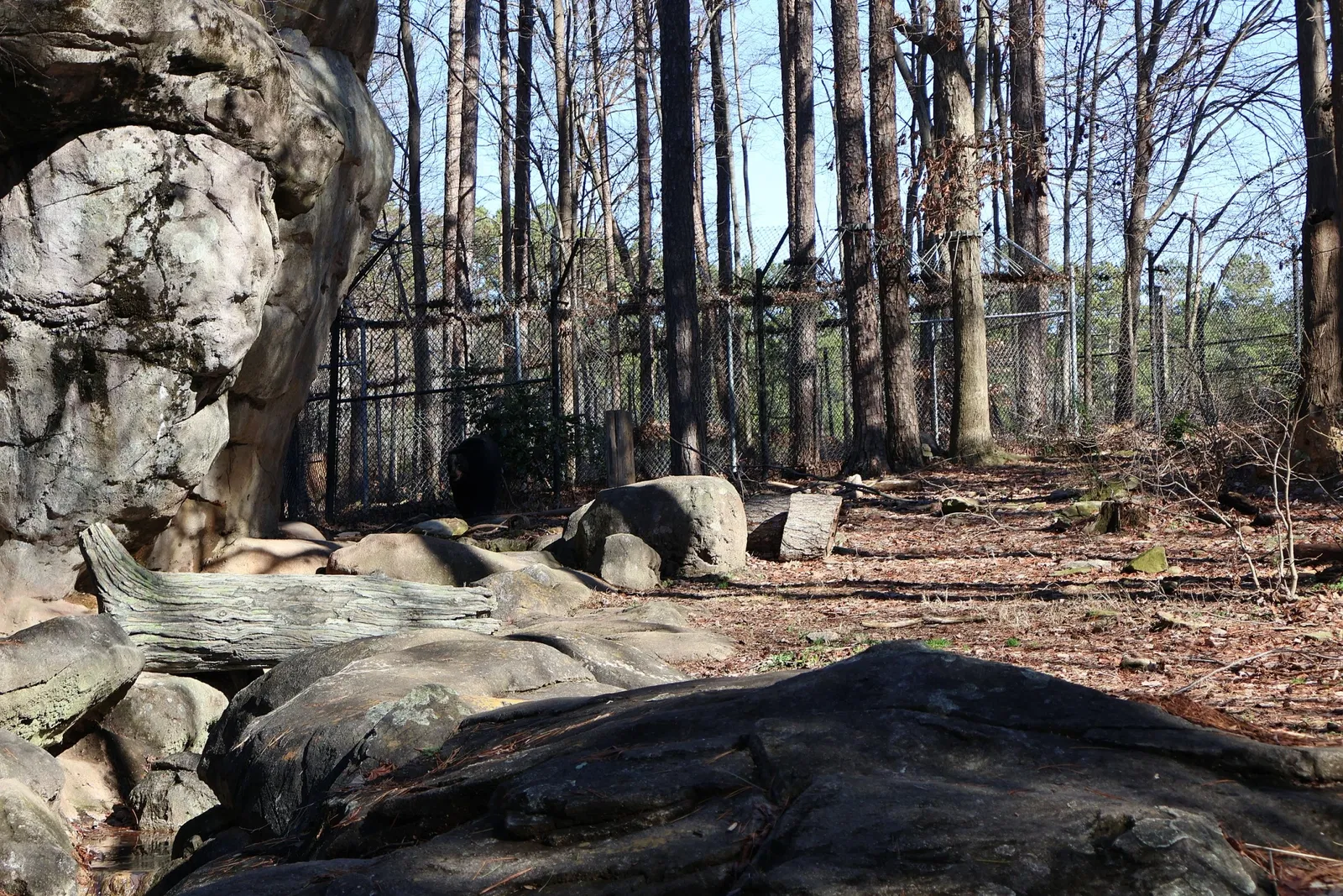 North Carolina Zoological Park