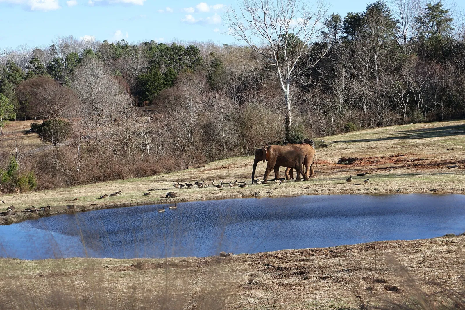 North Carolina Zoological Park