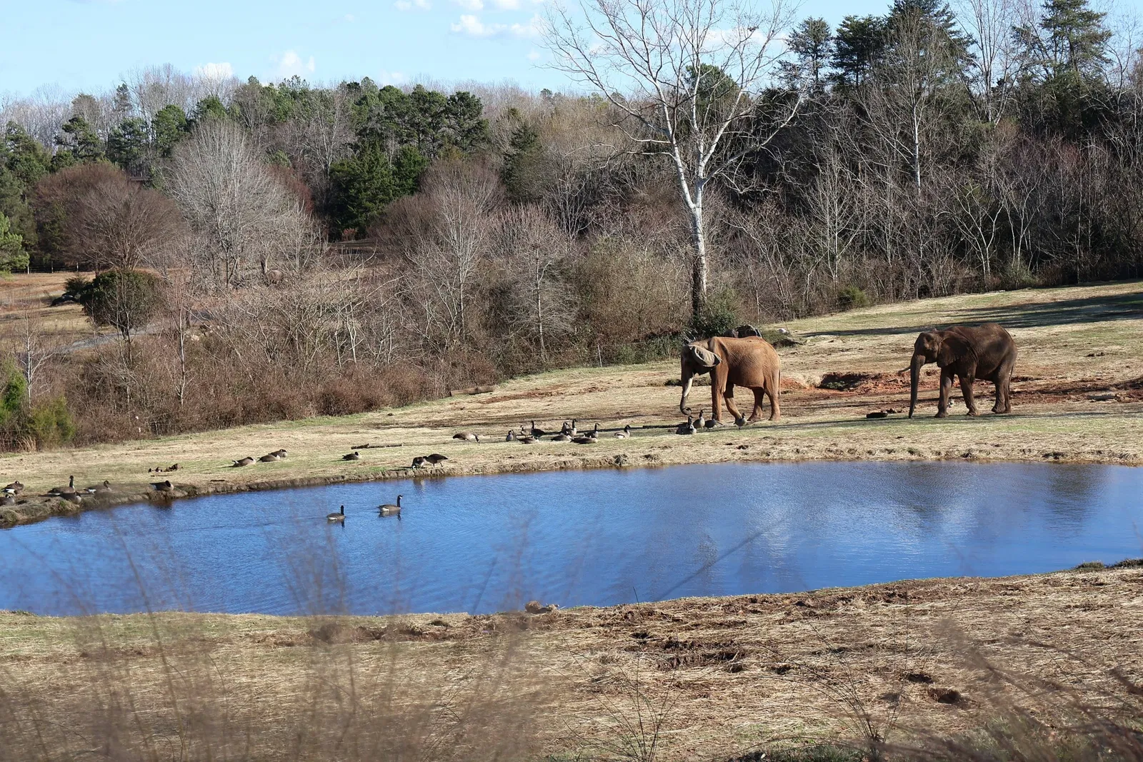North Carolina Zoological Park