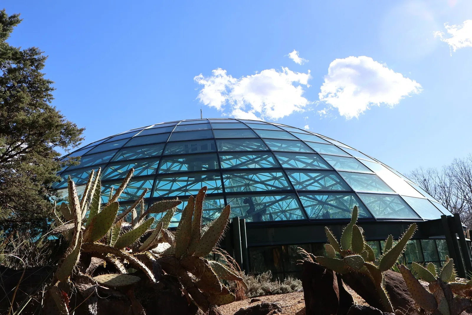 Zoo de Caroline du Nord