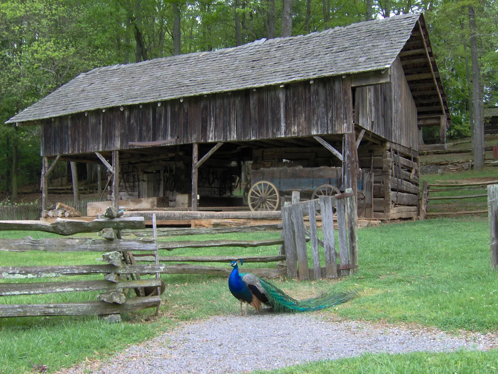 The Museum Of Appalachia