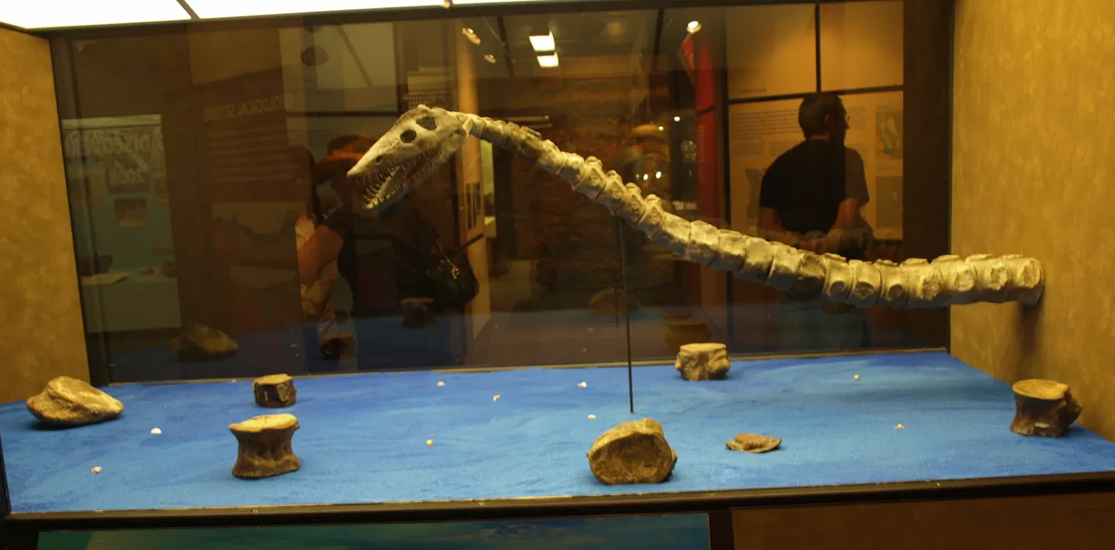 Canadian Fossil Discovery Centre