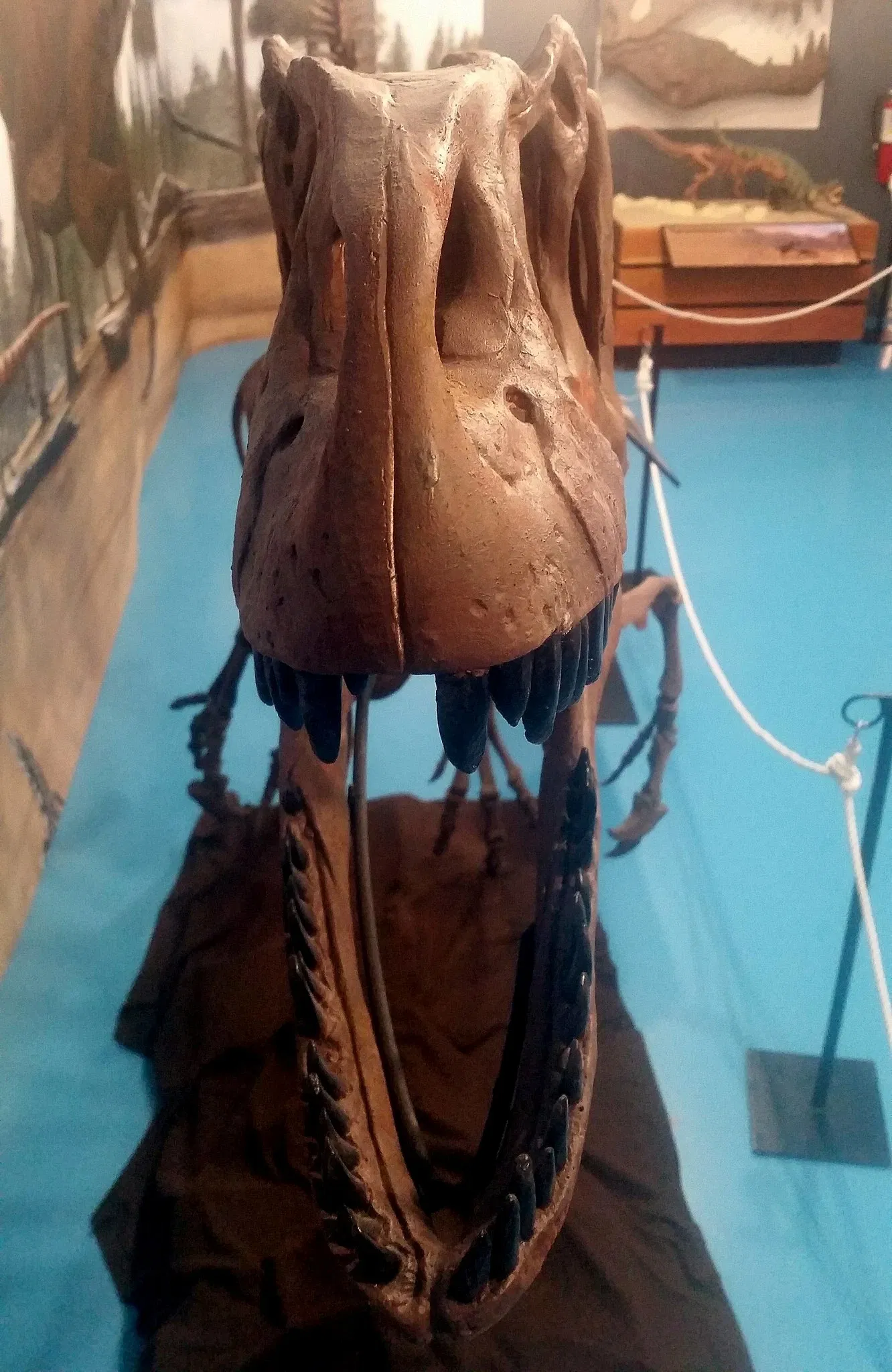 Canadian Fossil Discovery Centre