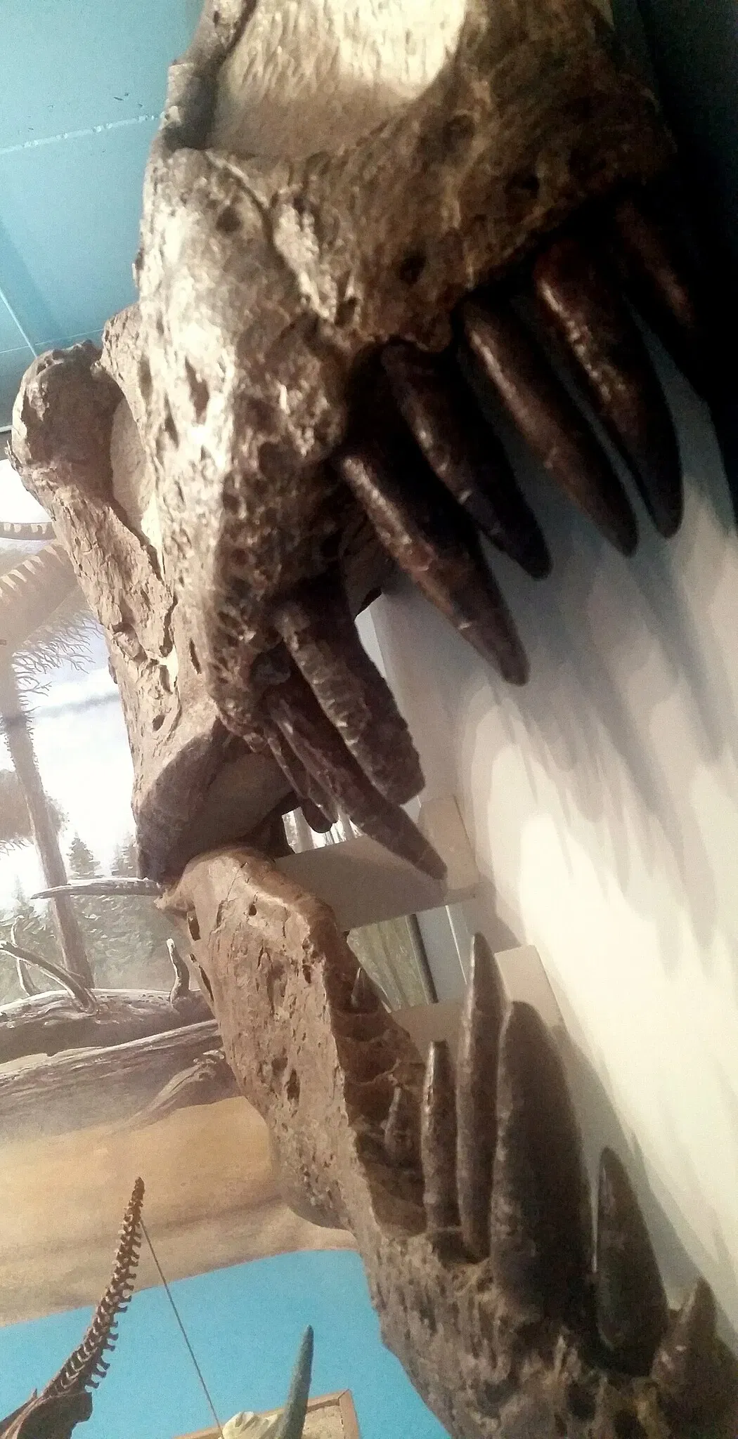 Canadian Fossil Discovery Centre