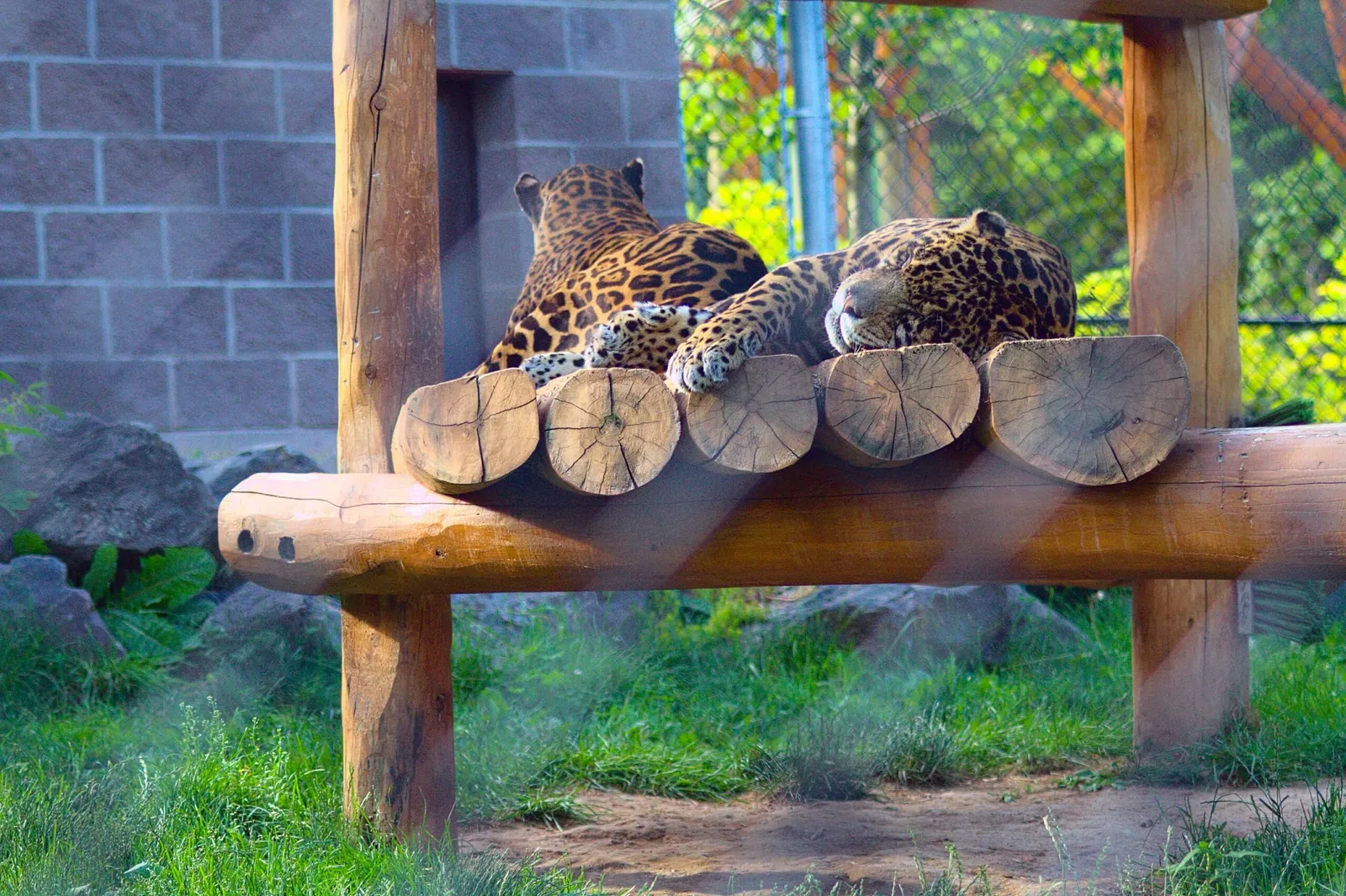 Zoológico de Magnetic Hill