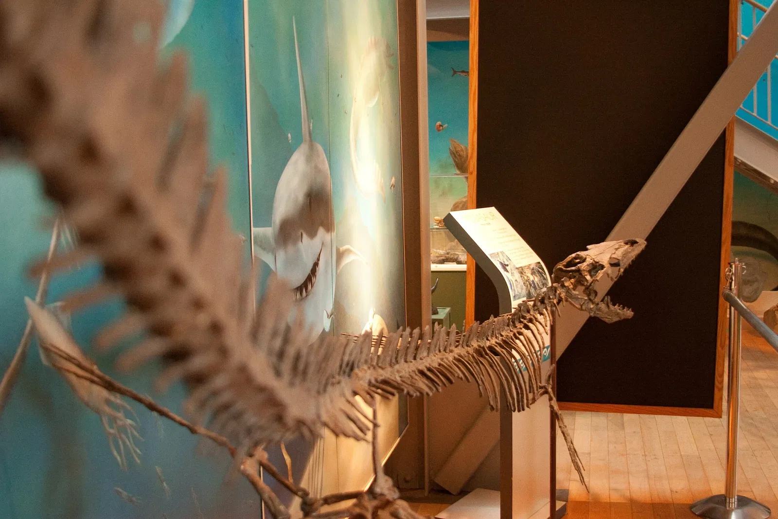 Courtenay & District Museum & Palaeontology Centre