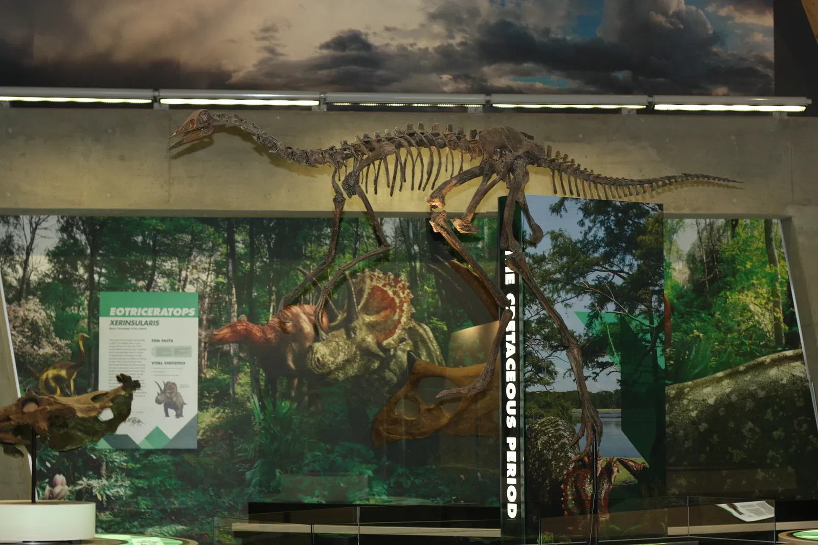 Philip J. Currie Dinosaur Museum