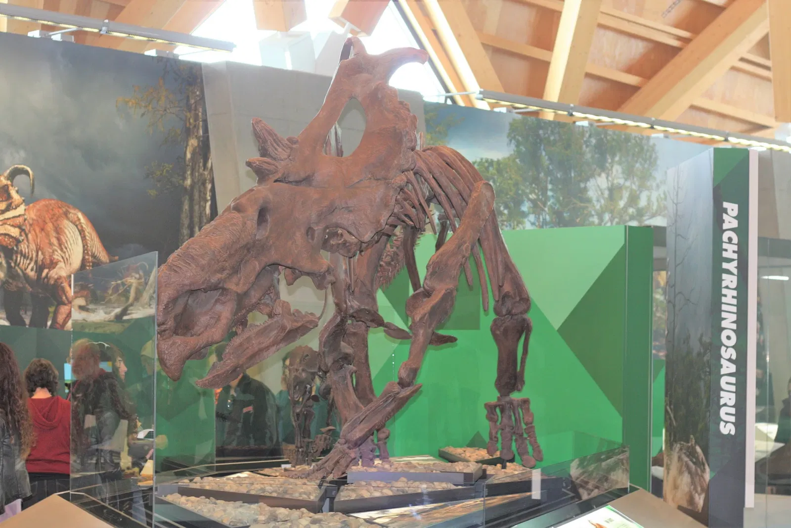 Philip J. Currie Dinosaur Museum