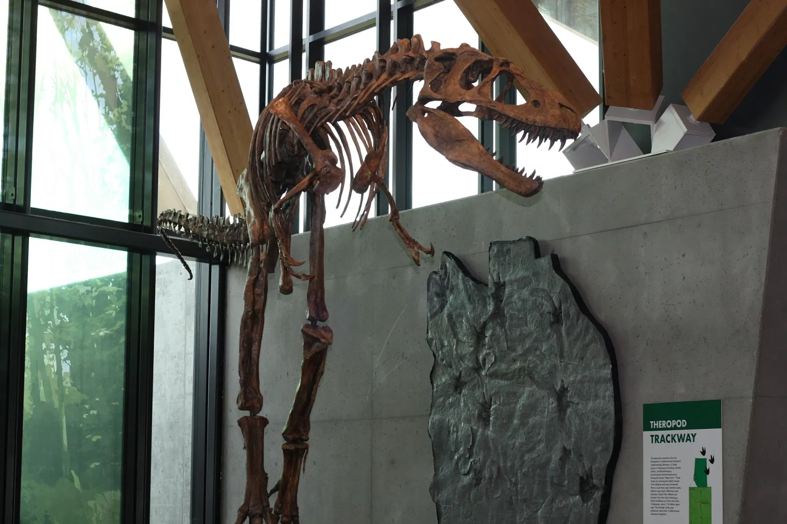 Philip J. Currie Dinosaur Museum