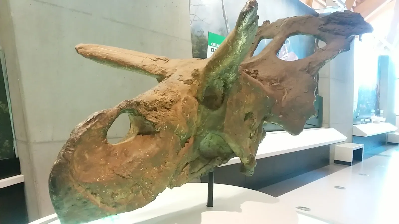 Philip J. Currie Dinosaur Museum