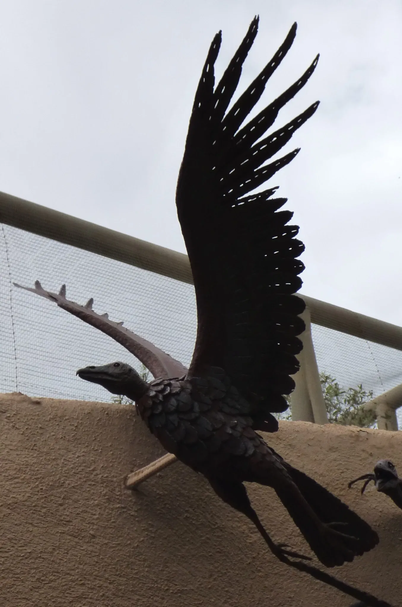 Arizona-sonora Desert Museum