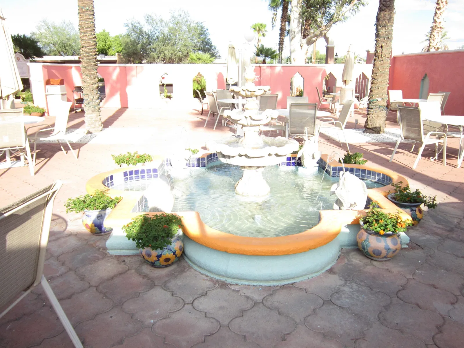 Museo del Desierto de Arizona-Sonora