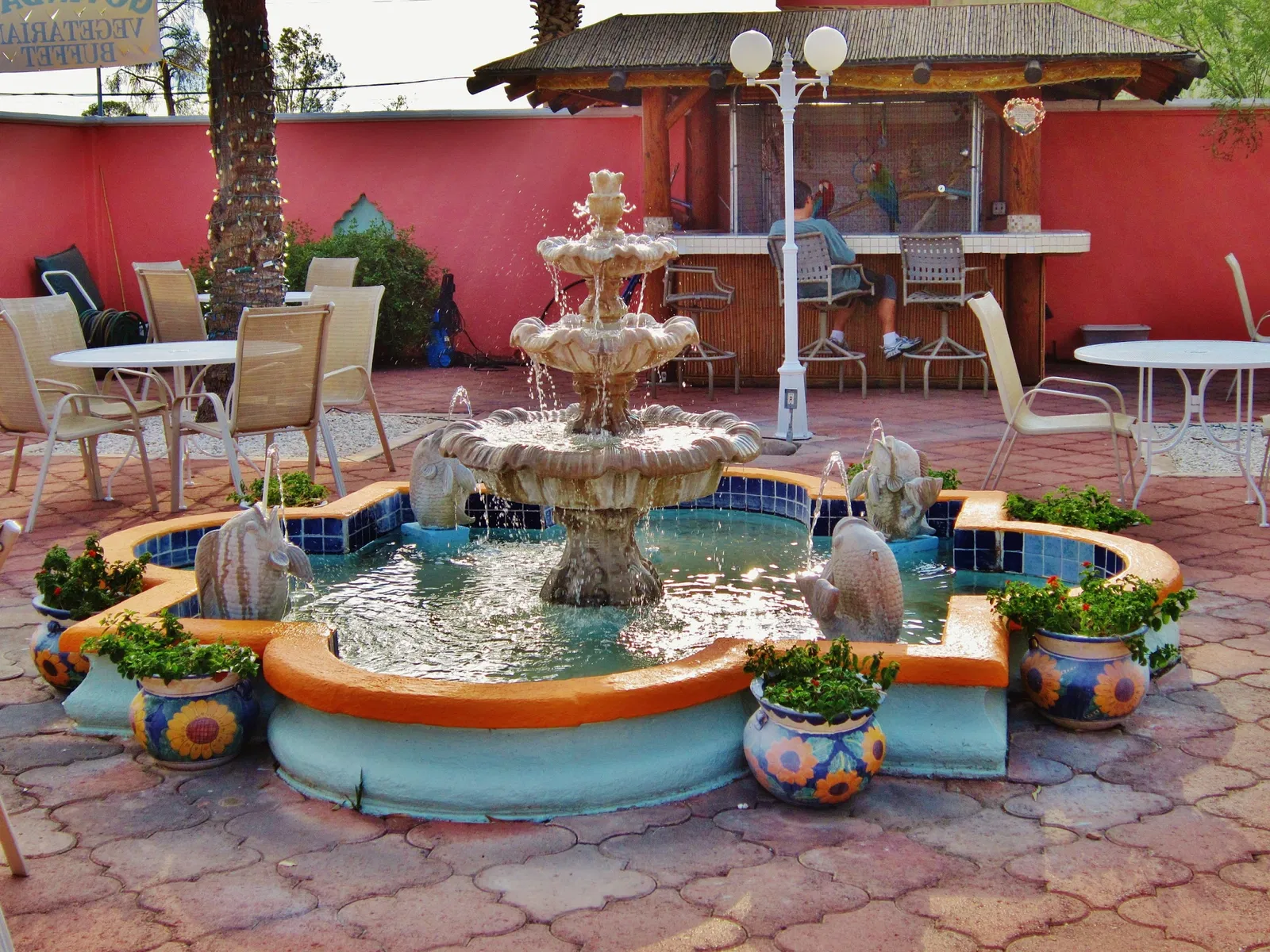 Museo del Desierto de Arizona-Sonora