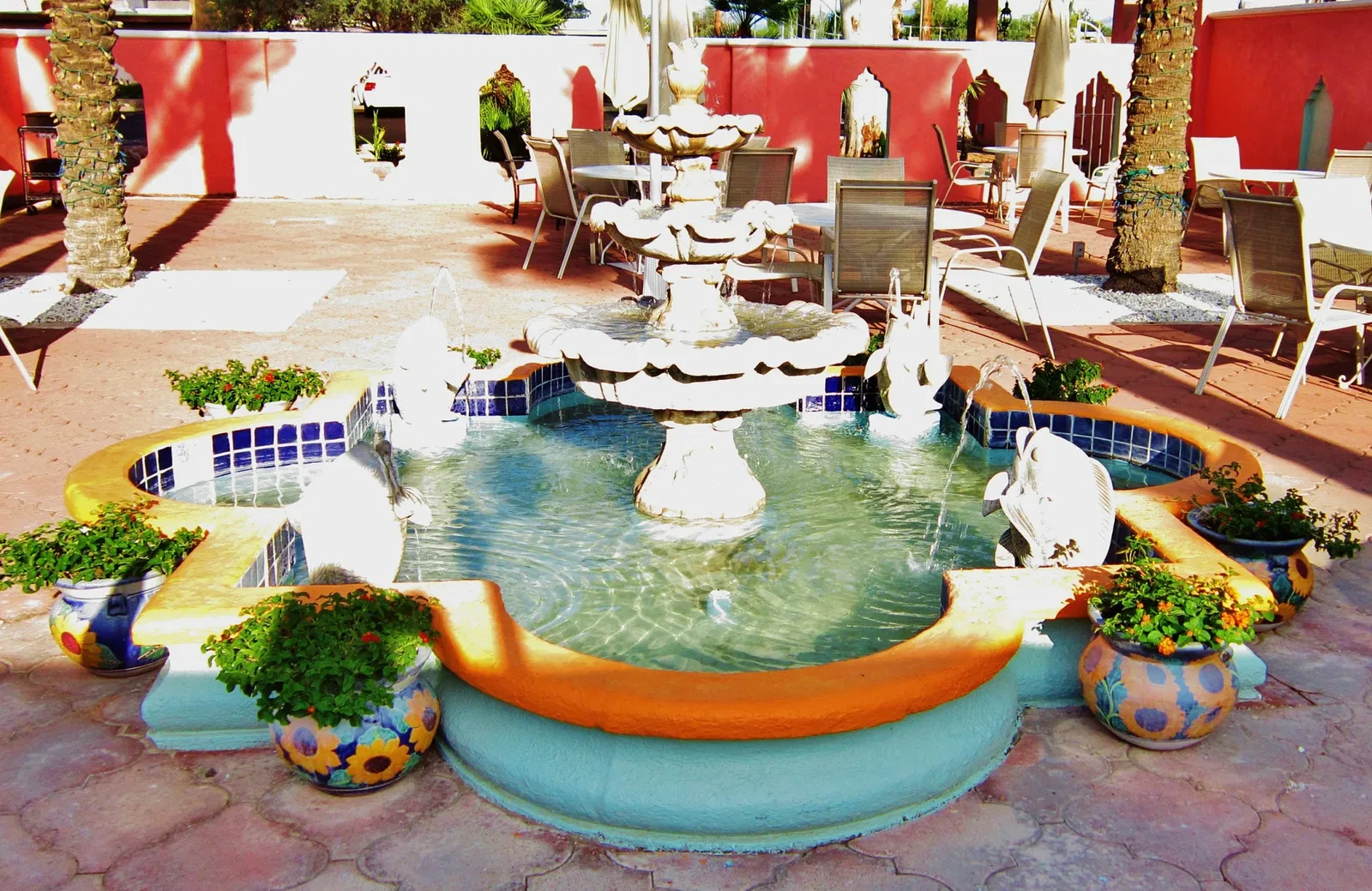 Museo del Desierto de Arizona-Sonora