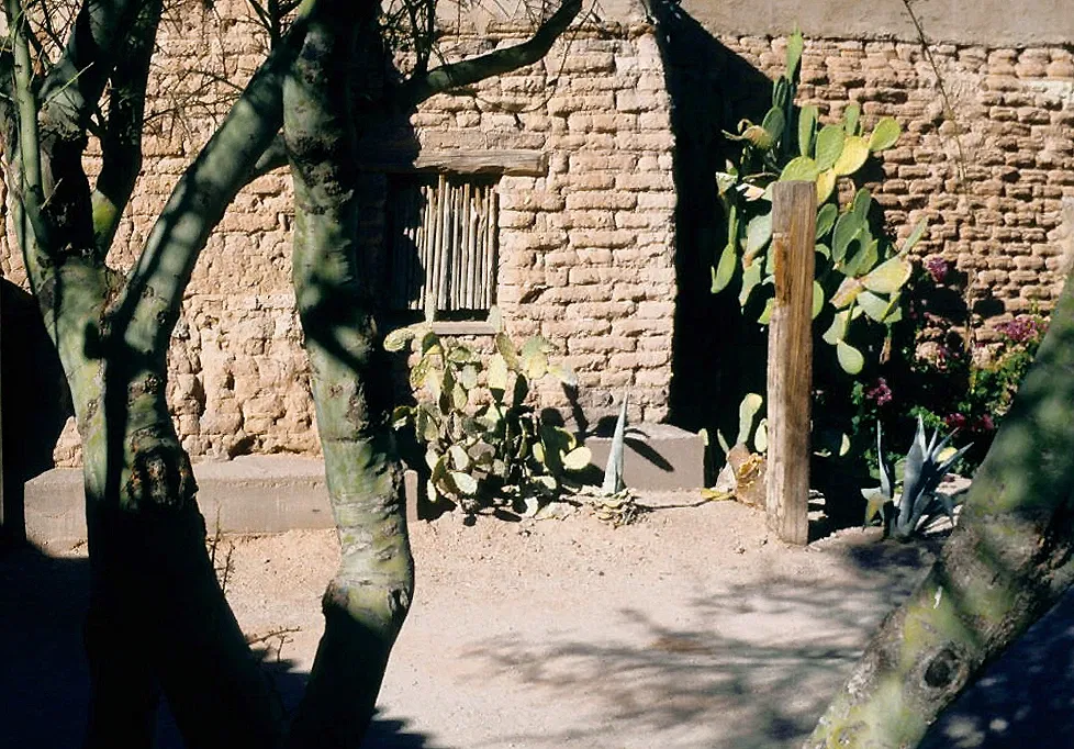 Museo del Desierto de Arizona-Sonora