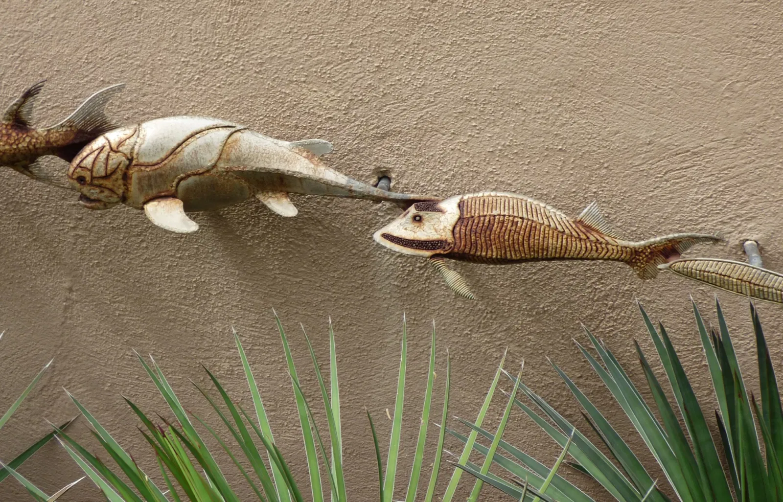 Museo del Desierto de Arizona-Sonora