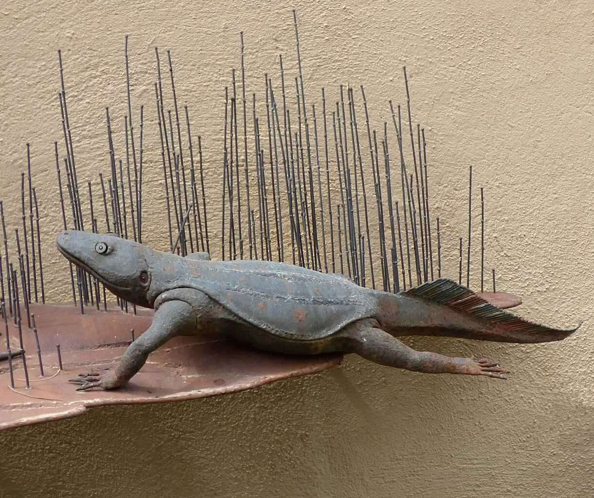 Museo del Desierto de Arizona-Sonora