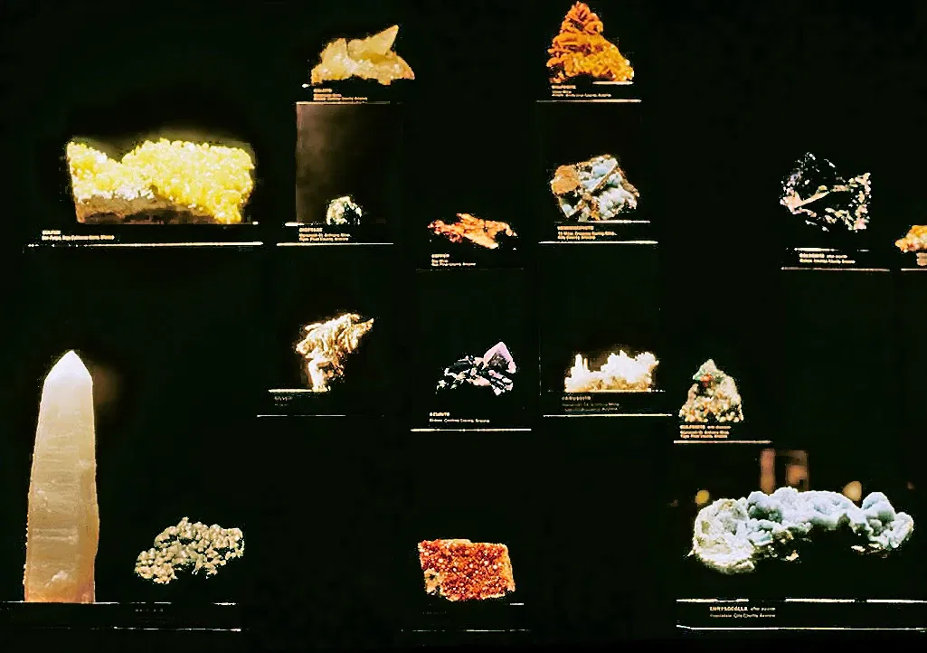 Museo del Desierto de Arizona-Sonora