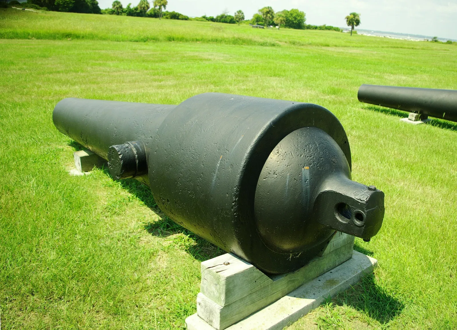 Fort Moultrie