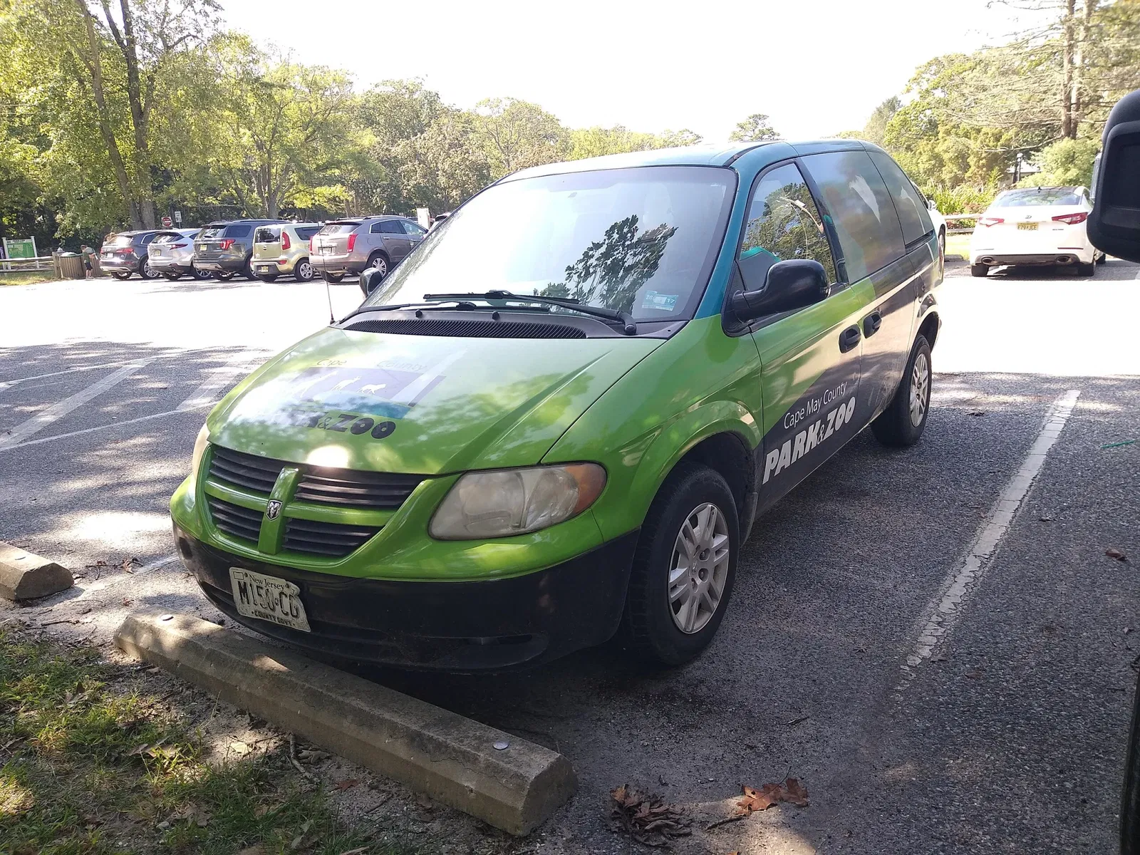 Cape May County Park & Zoo