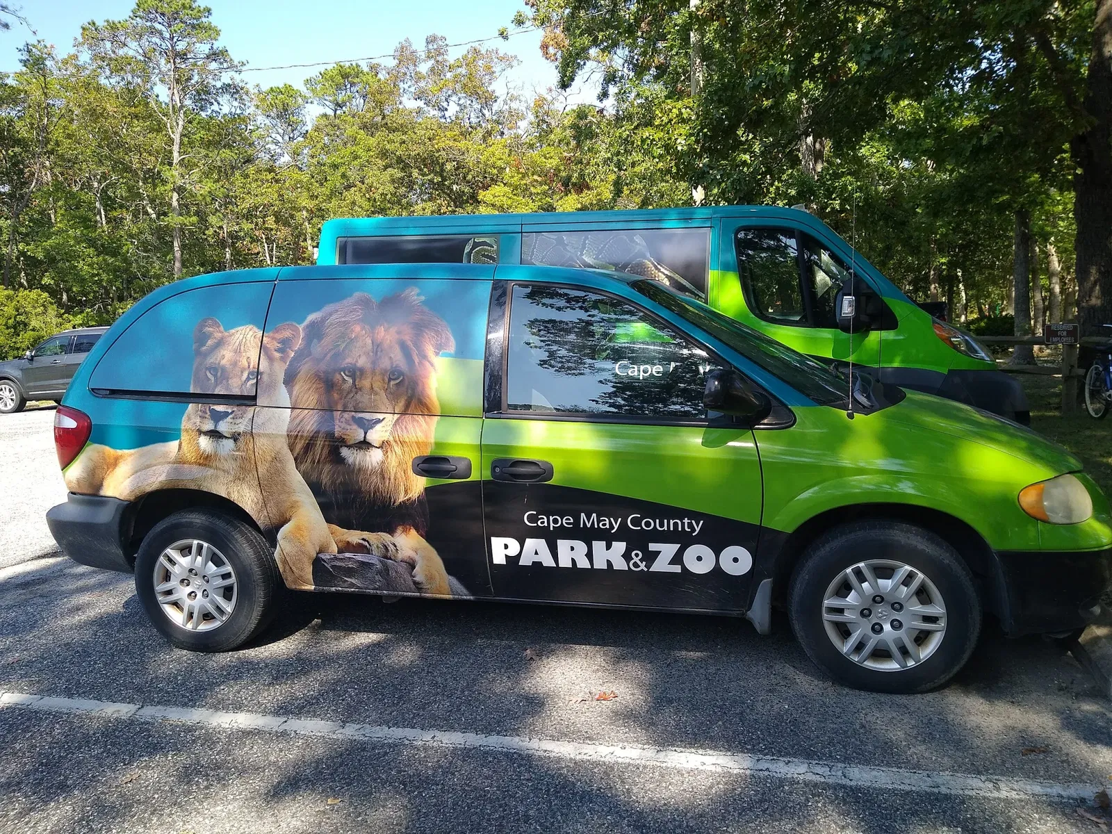 Cape May County Park & Zoo