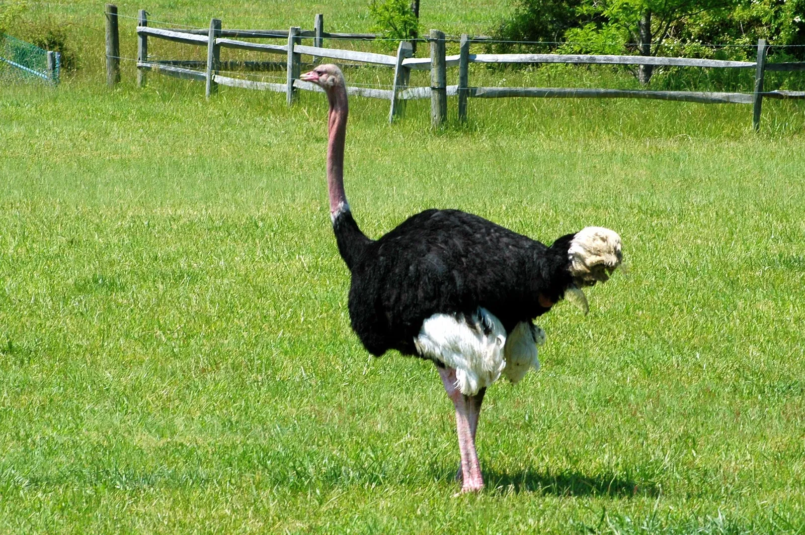 Cape May County Park & Zoo