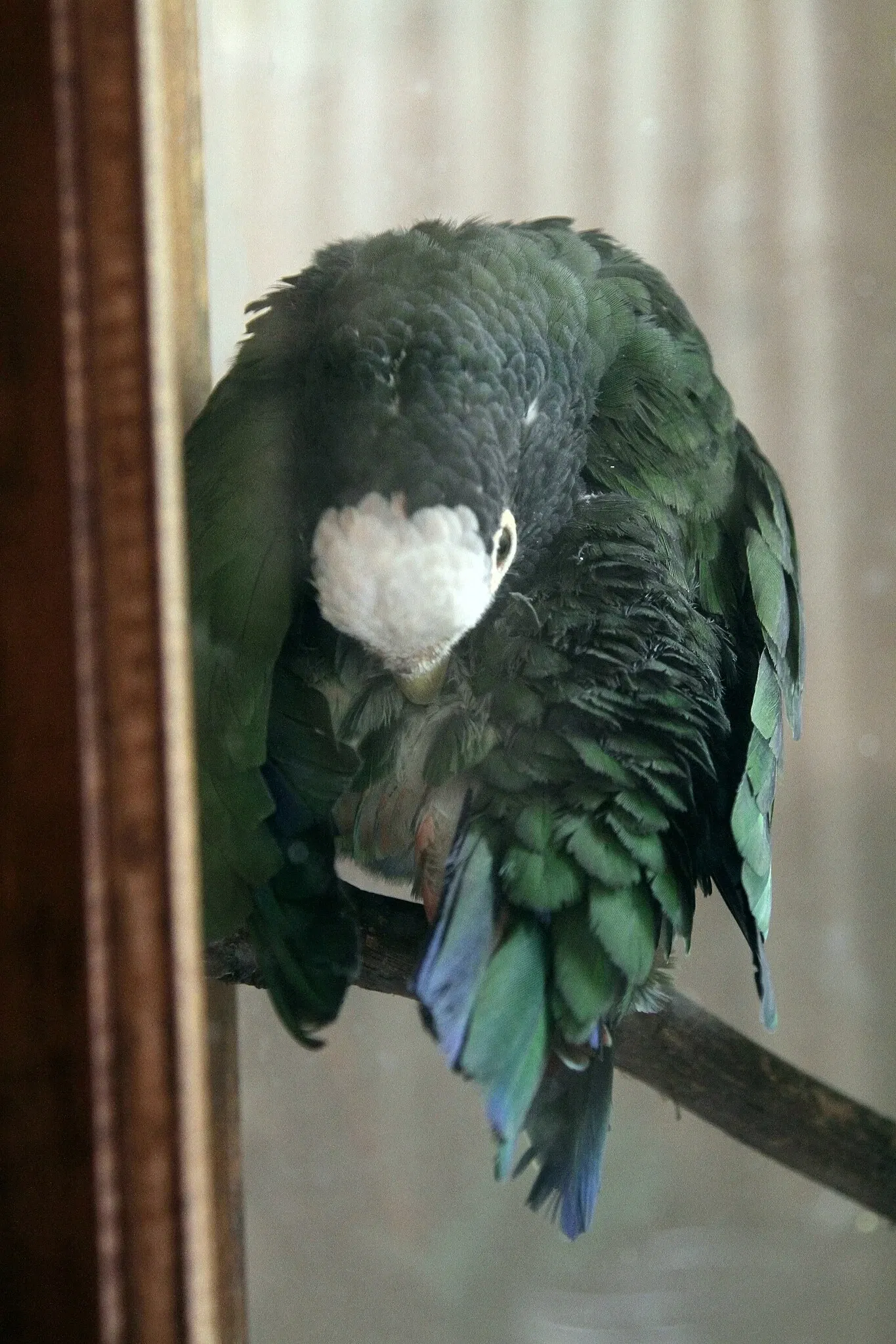 Cape May County Park & Zoo