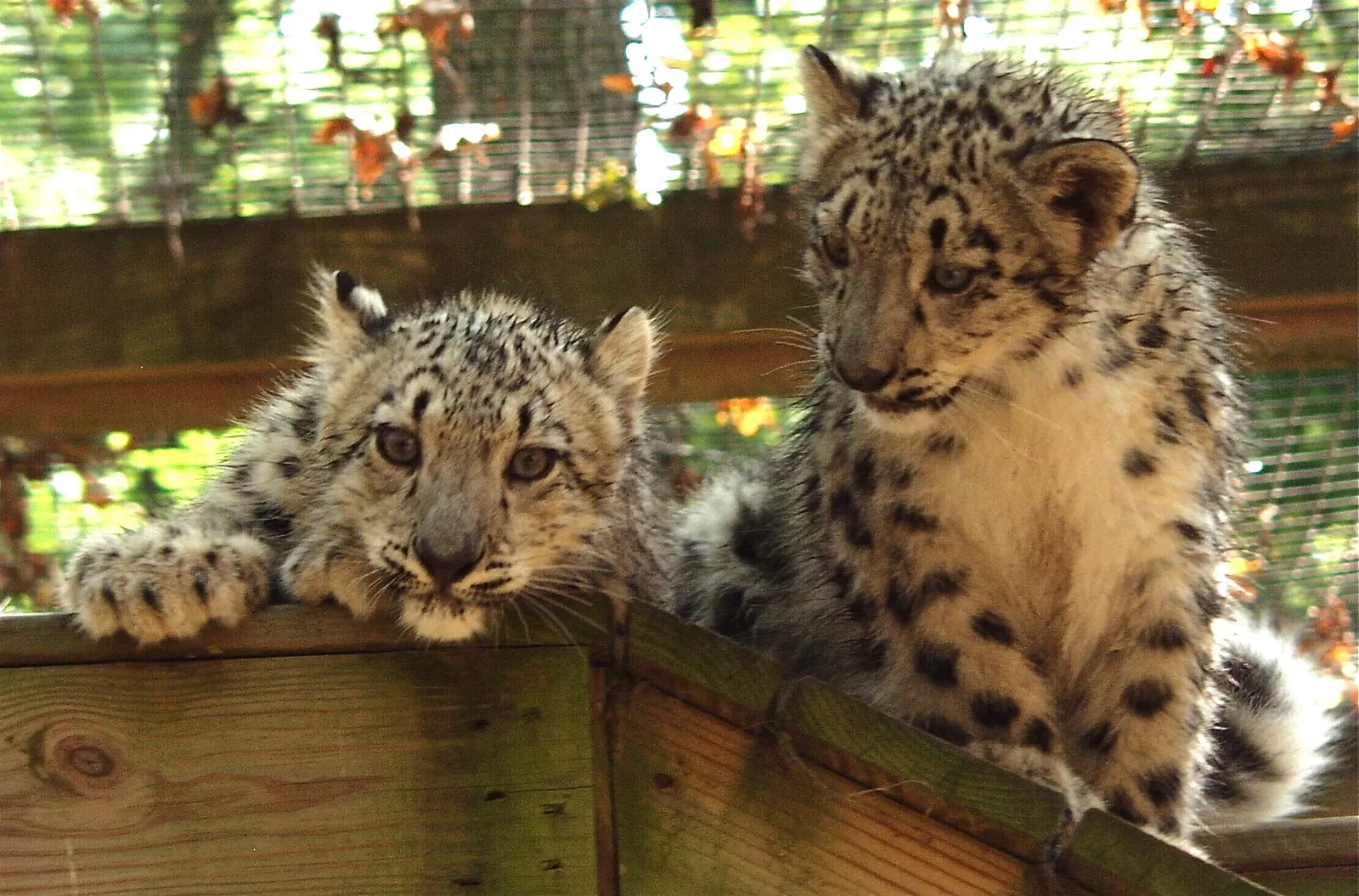 Cape May County Park & Zoo