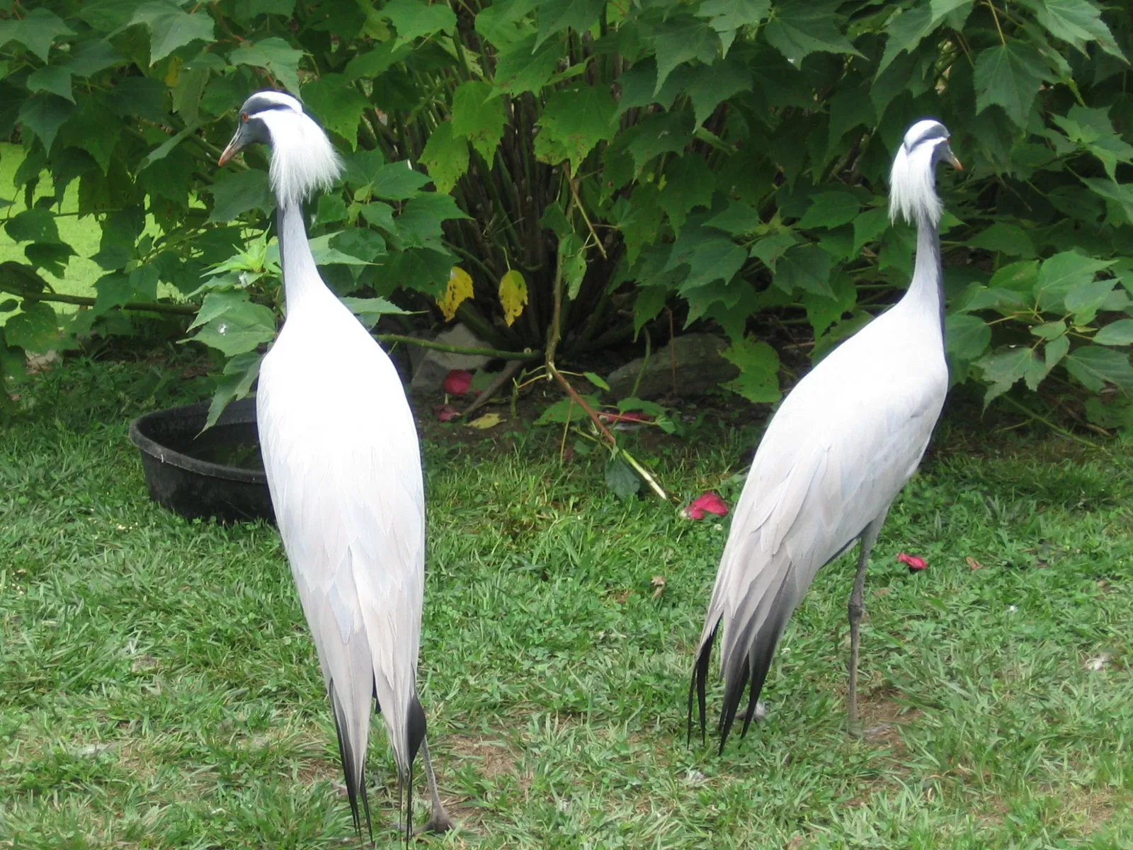Cape May County Park & Zoo