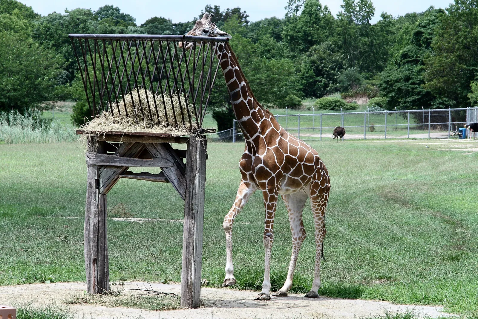 Cape May County Park & Zoo